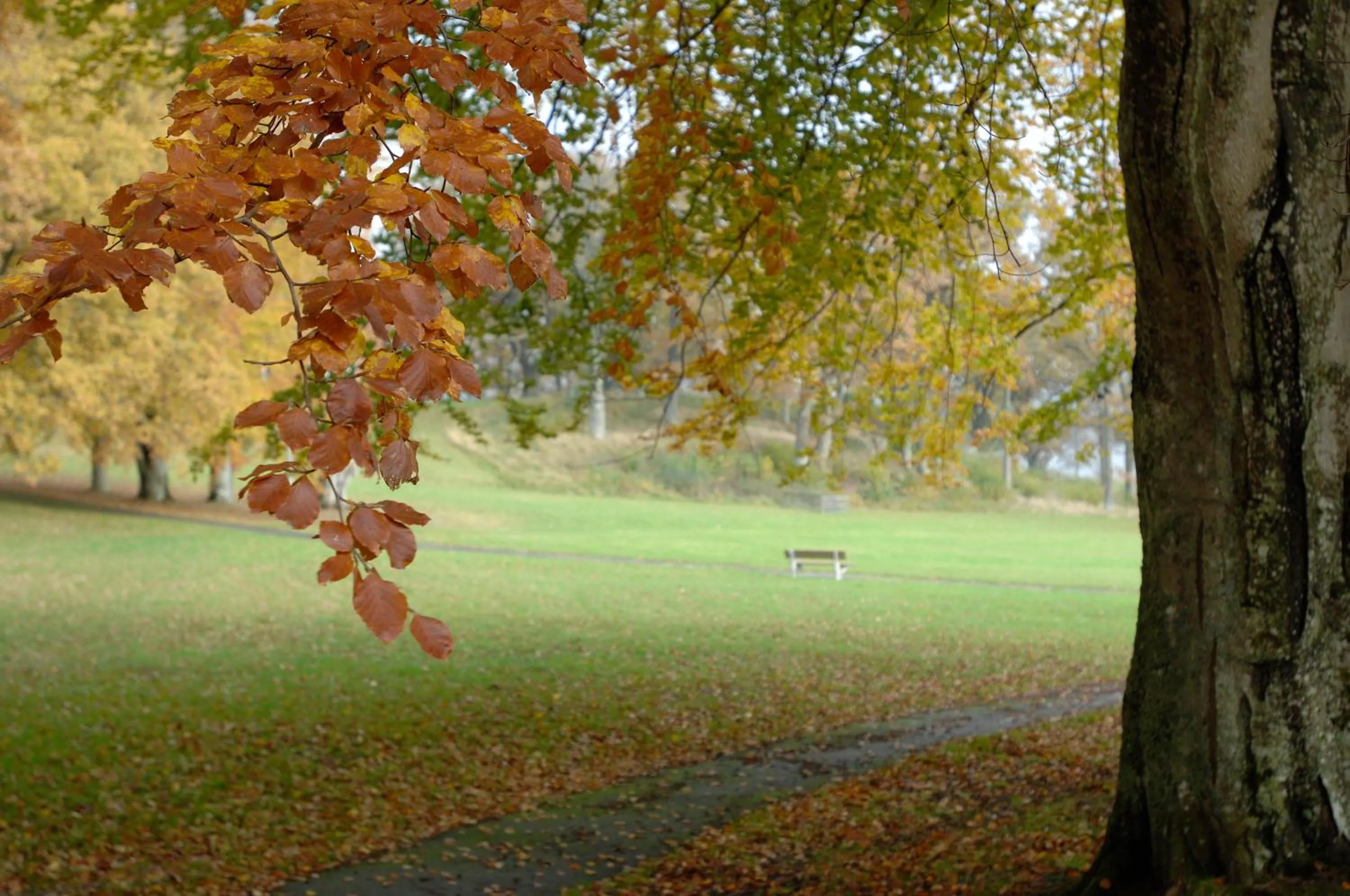 Garden in Hotell Hehrne