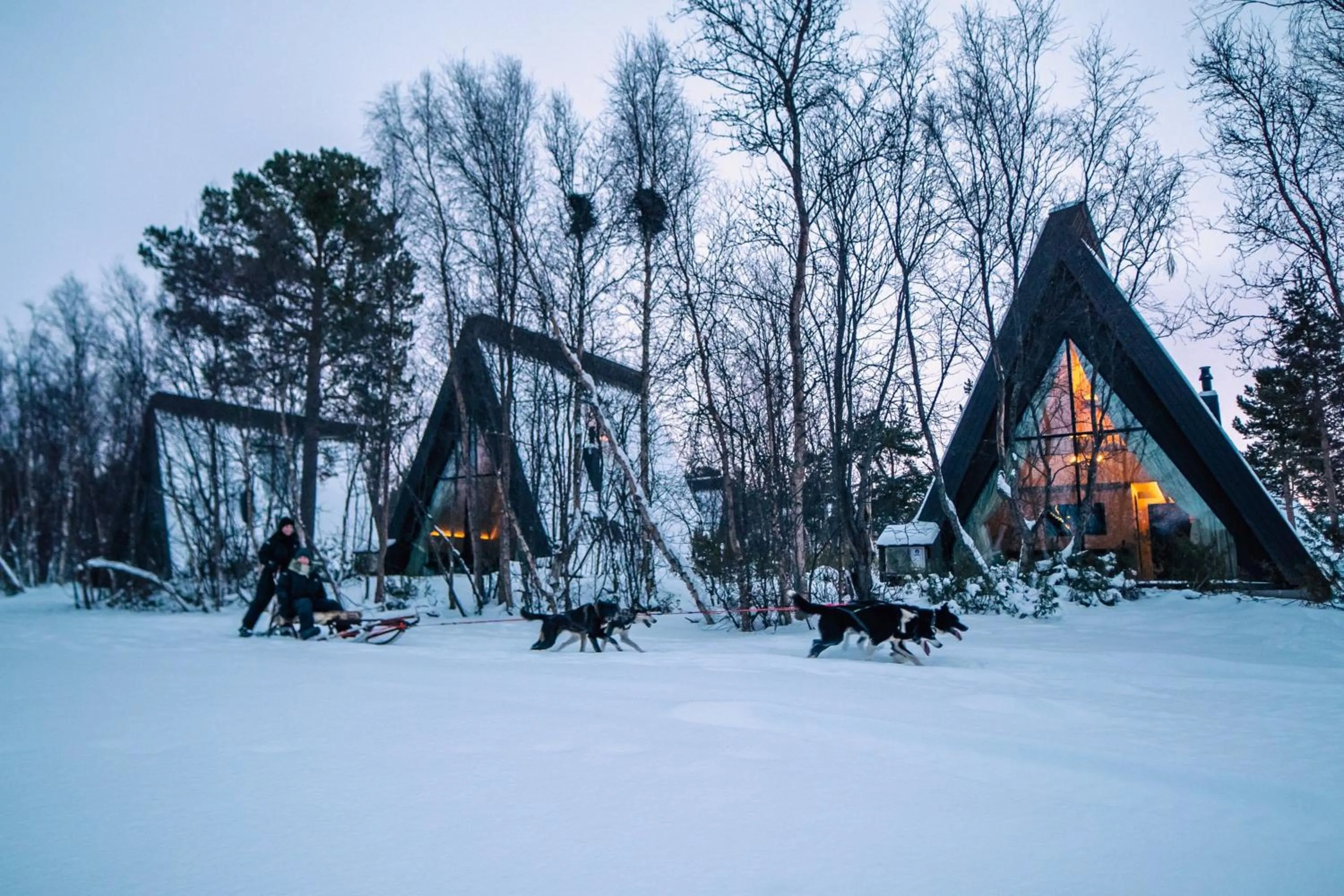 Activities in Holmen Husky Lodge