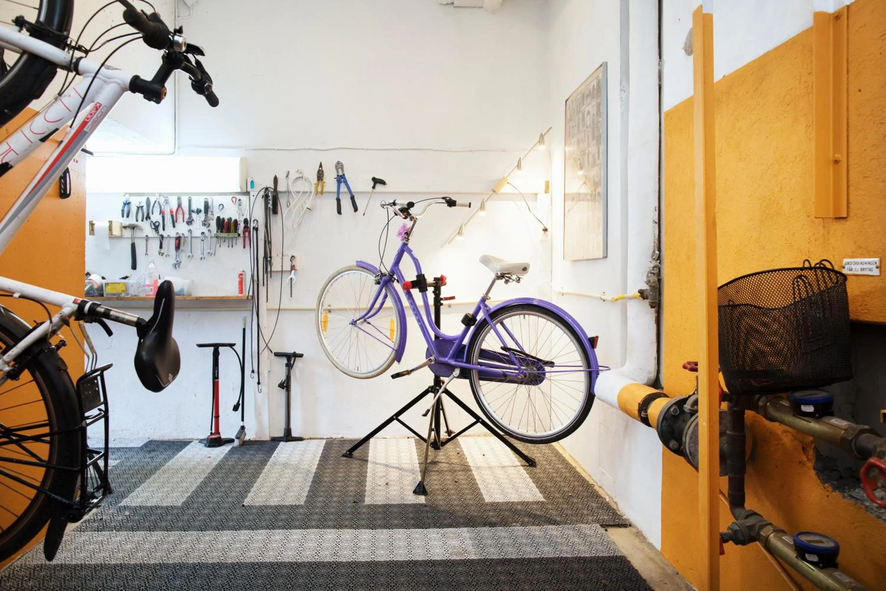 Cycling in Slottsskogens Hostel