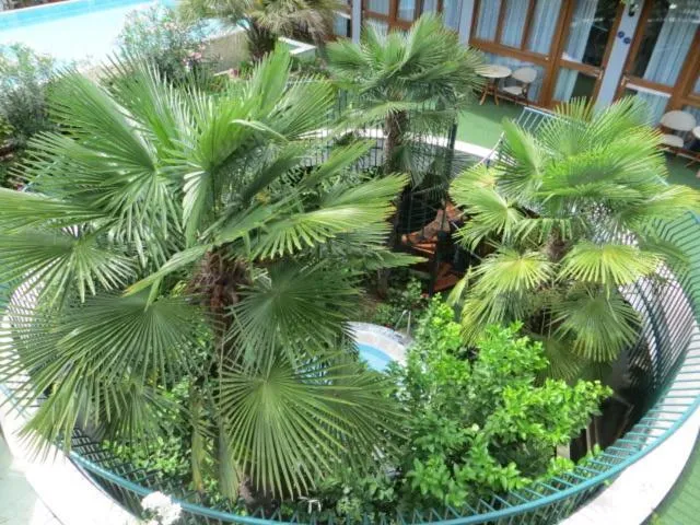 Day in Hotel Alexander