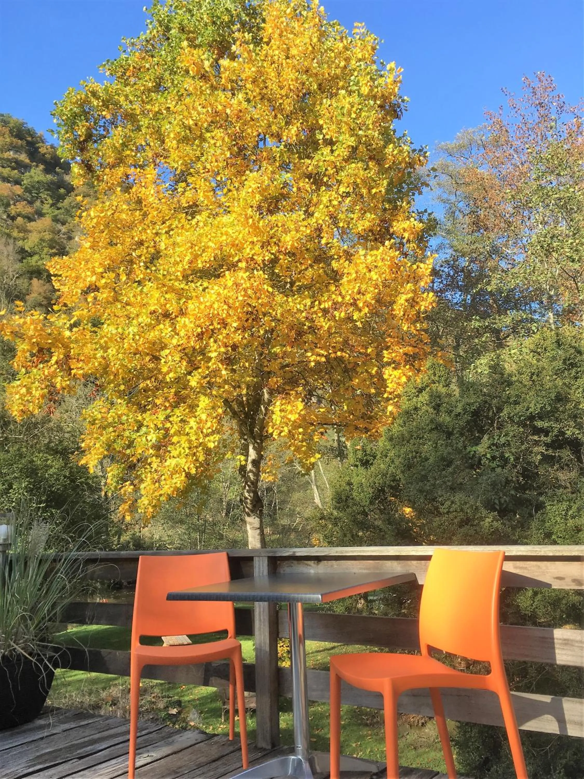 Balcony/Terrace in Moulin de la Fayolle