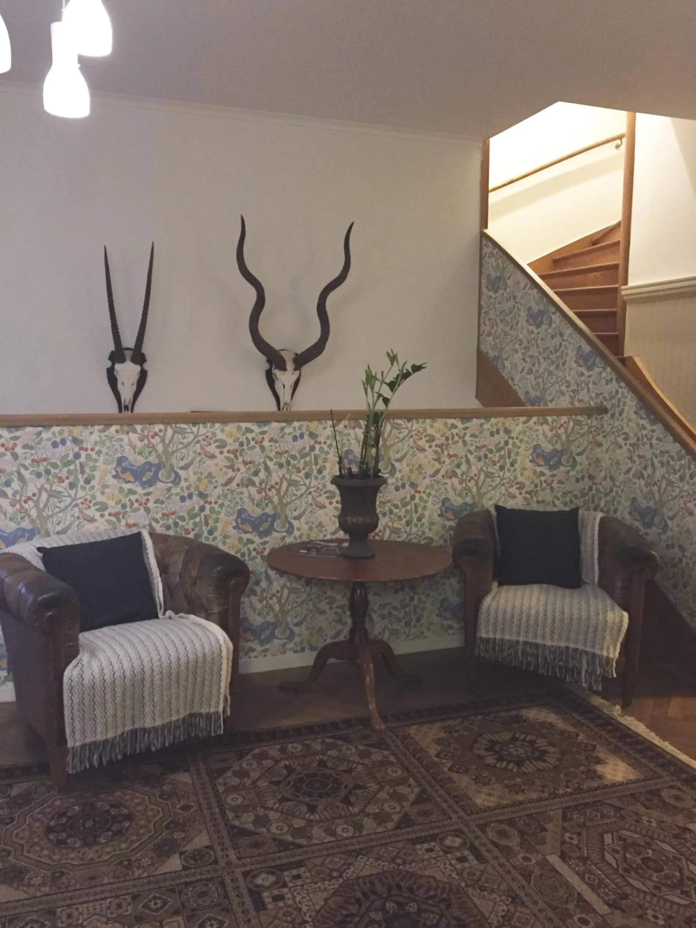 Area and facilities in Adels Hotel