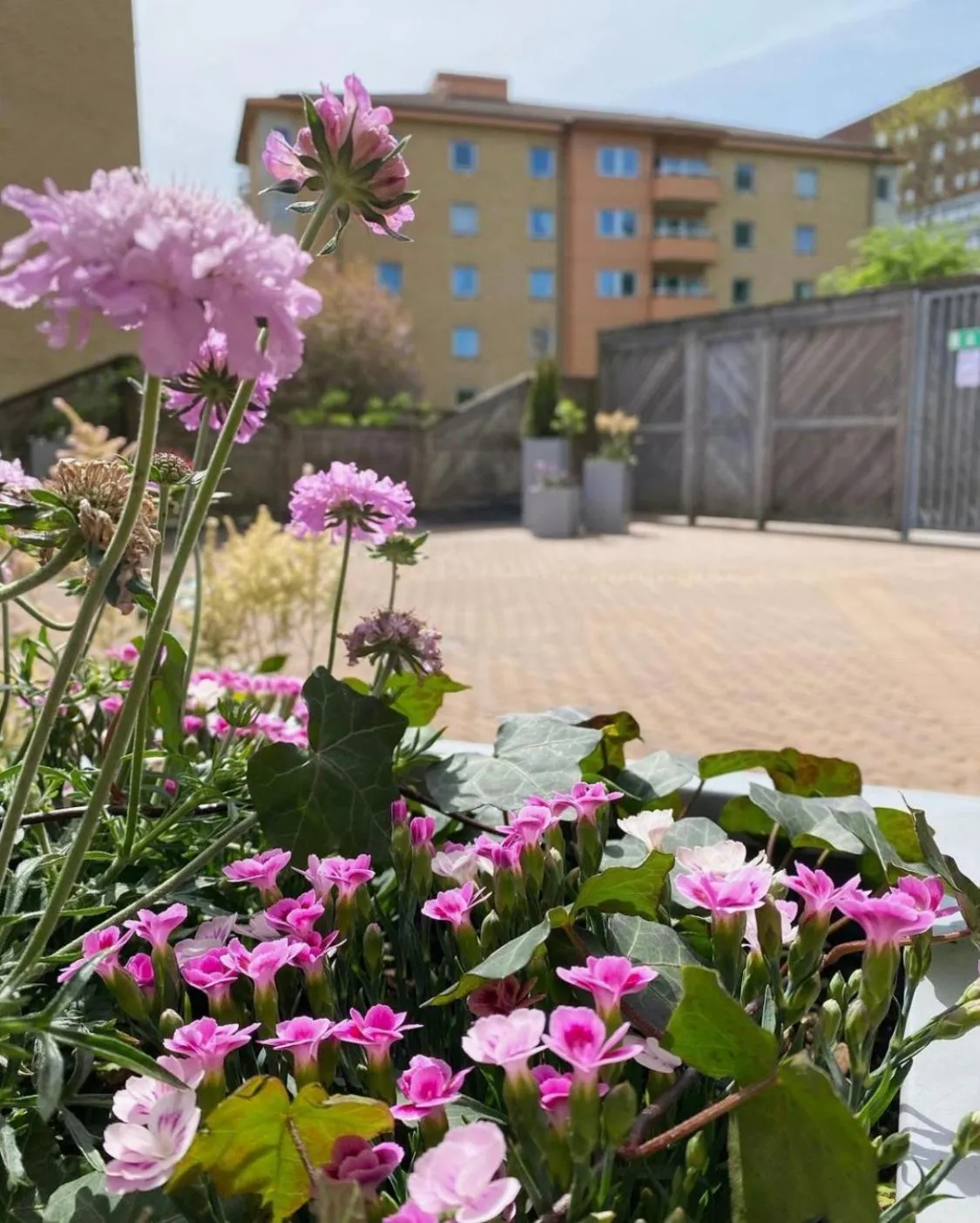 Balcony/Terrace in Göteborg Hostel