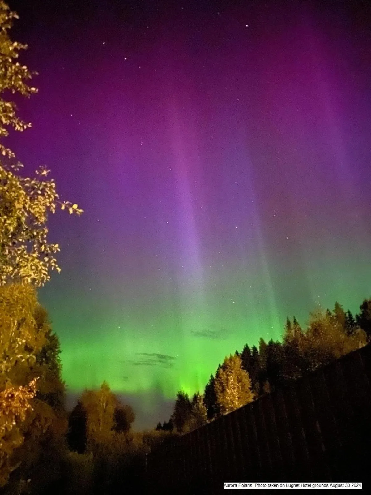 Lugnet Malung Hotell