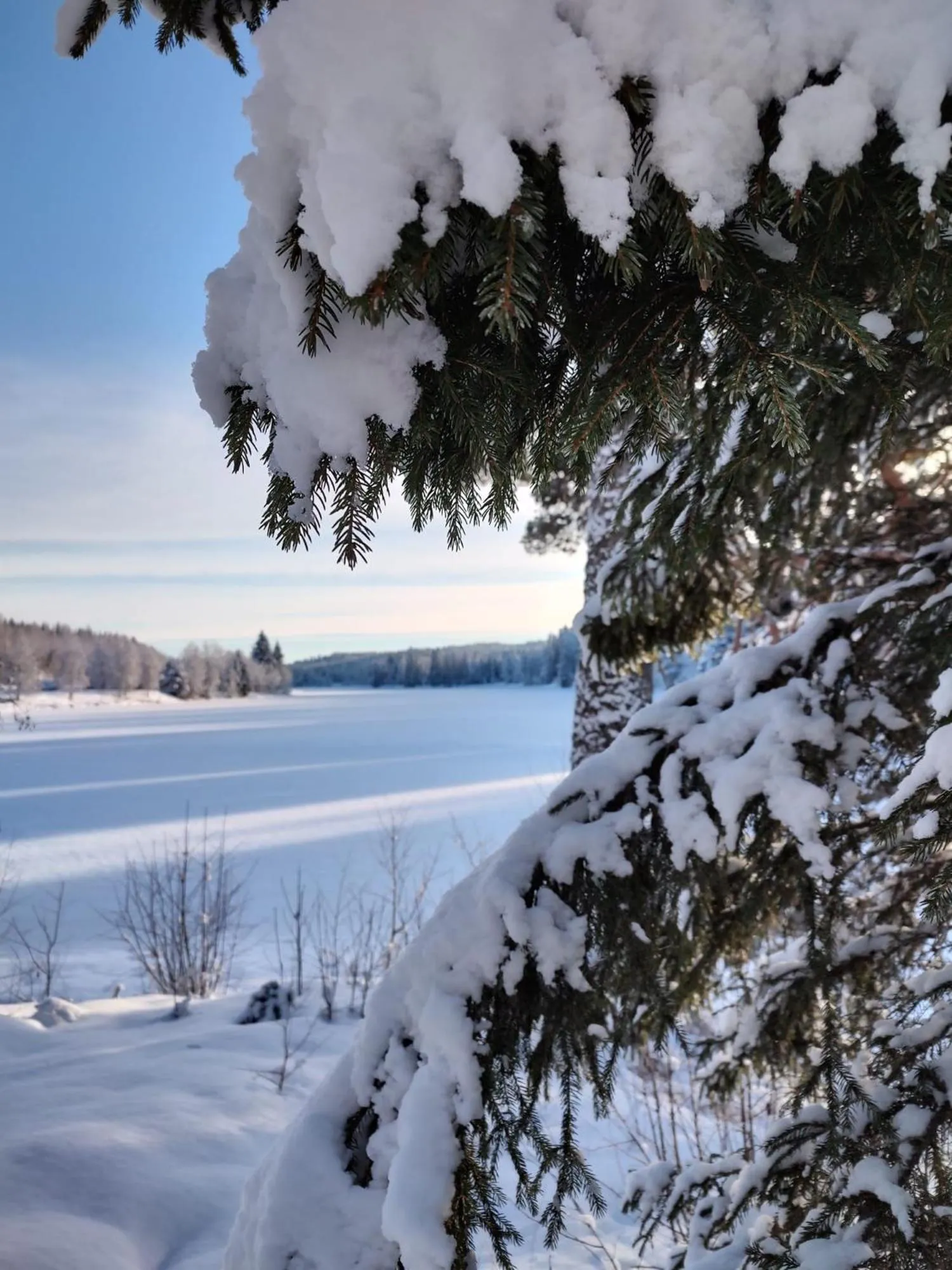 Lugnet Malung Hotell