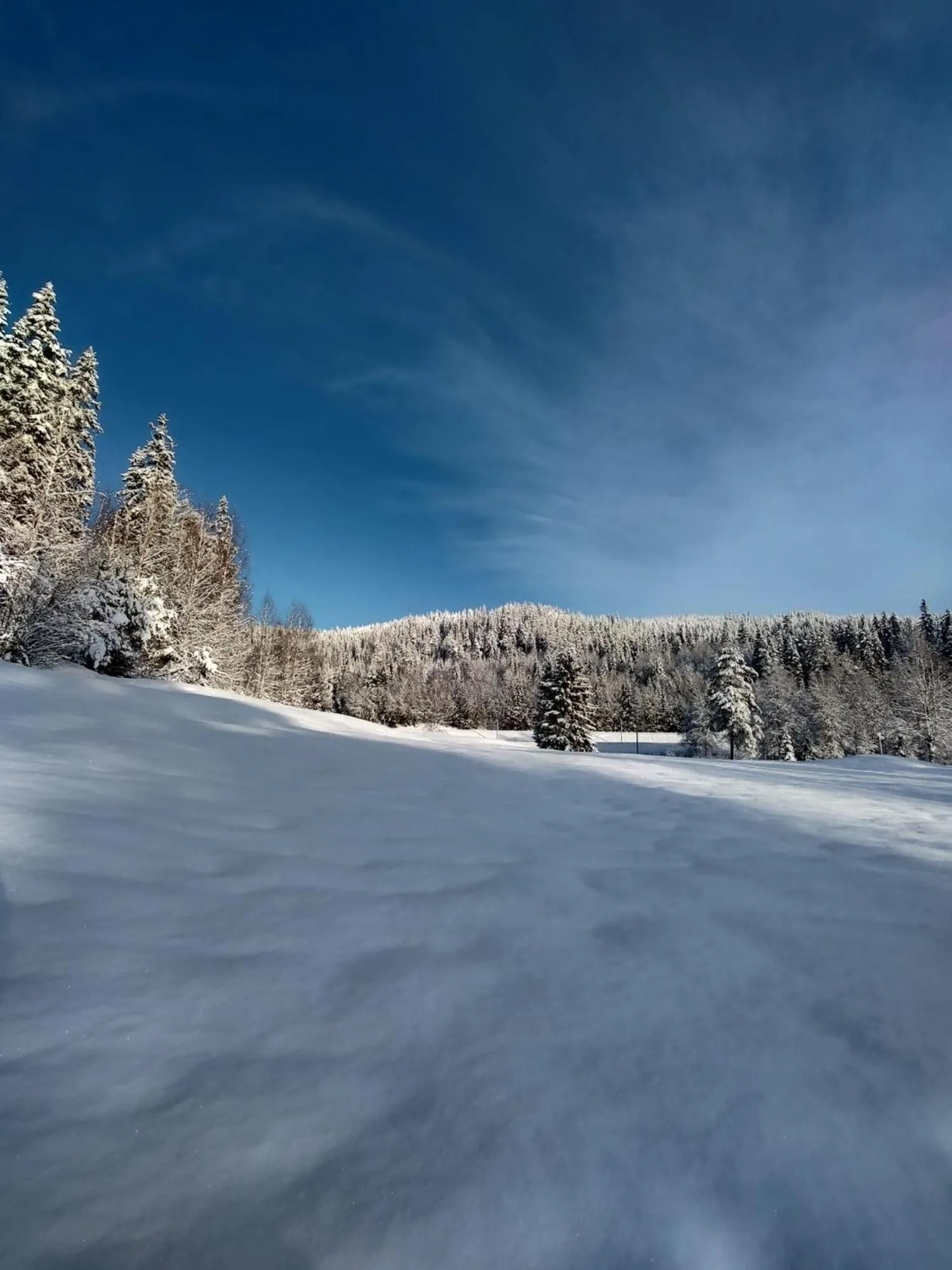 Lugnet Malung Hotell