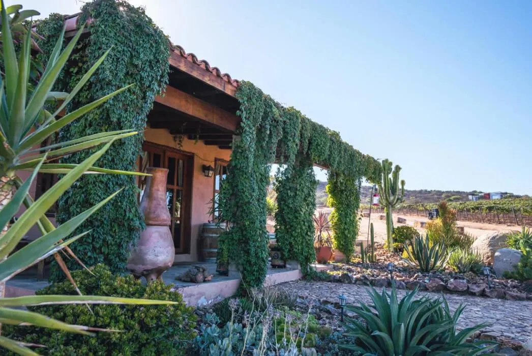 Day in En'kanto Valle de Guadalupe