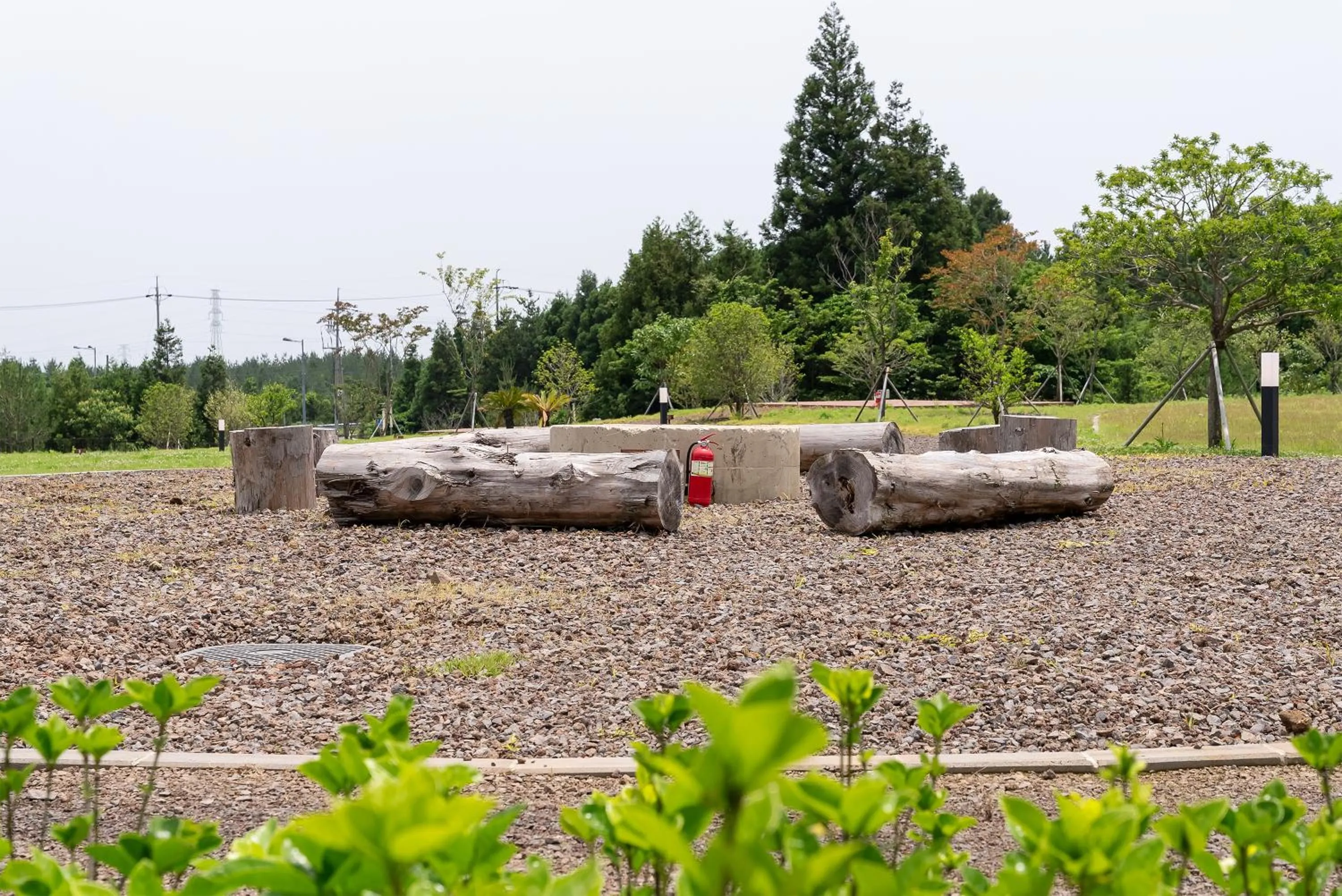 Garden in Kylin Villa resort Jeju