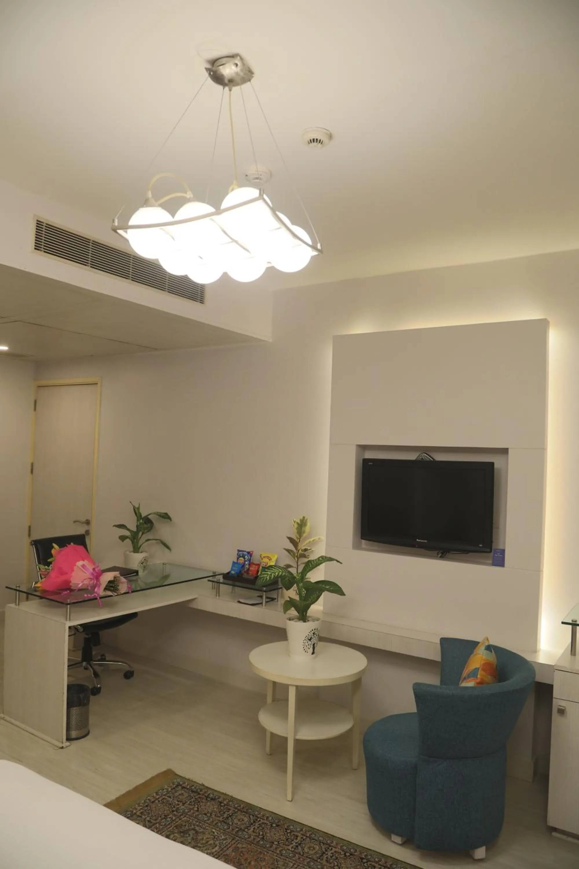 TV and multimedia in Sarovar Portico Naraina, Hotel