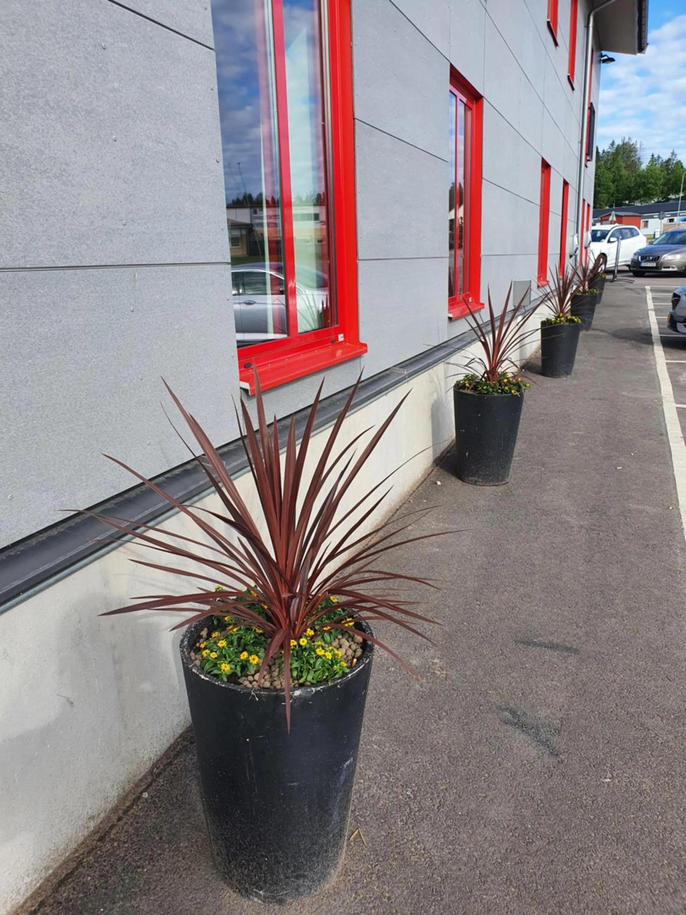 Off site in Rasta Grums