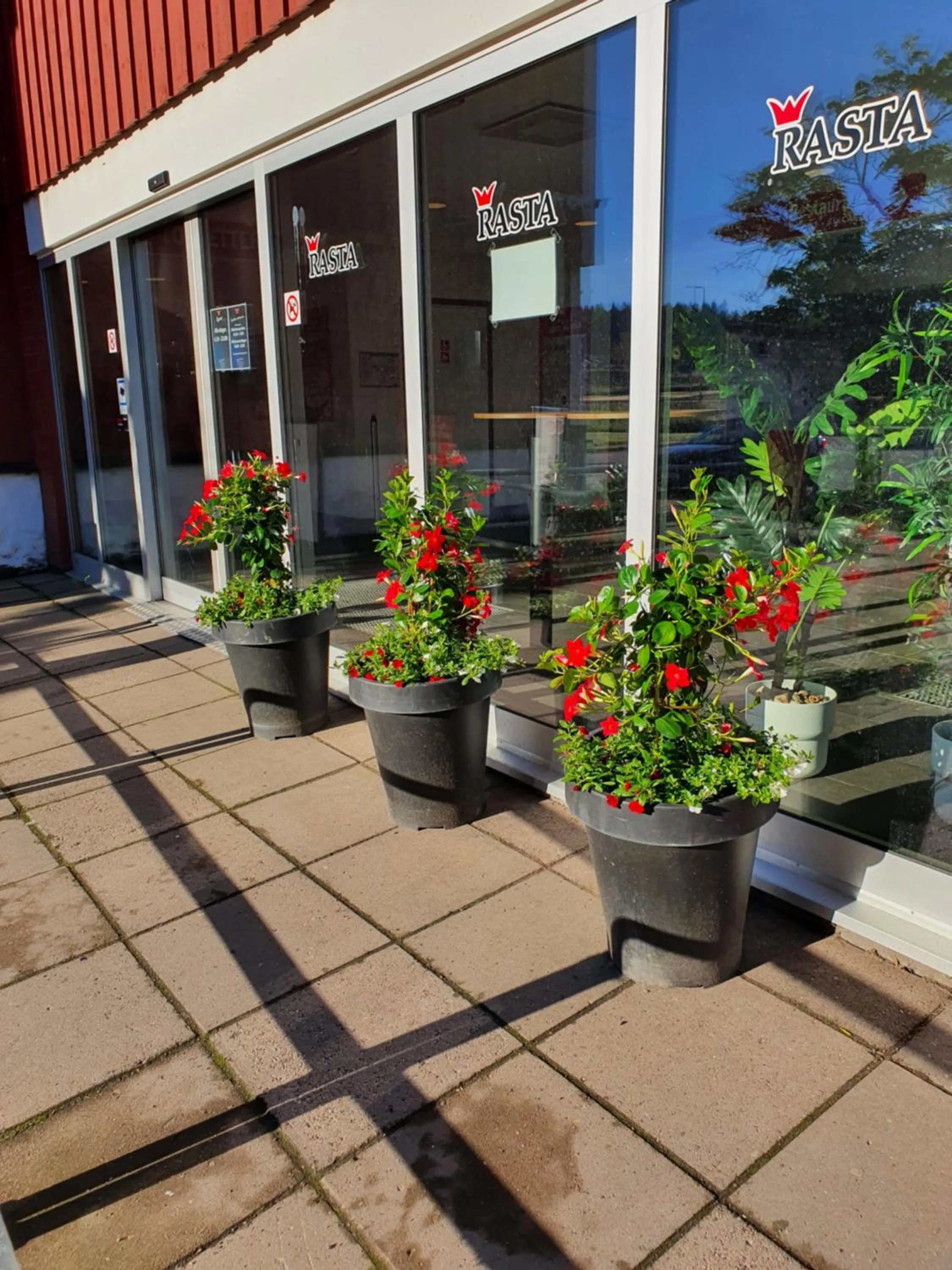 Restaurant/places to eat in Rasta Grums