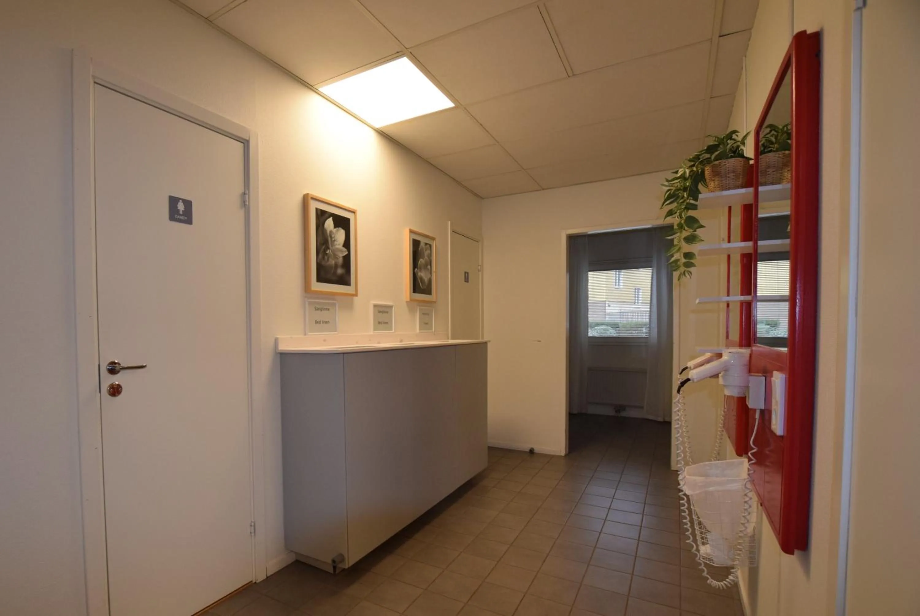 Shower in Hostel Snoozemore