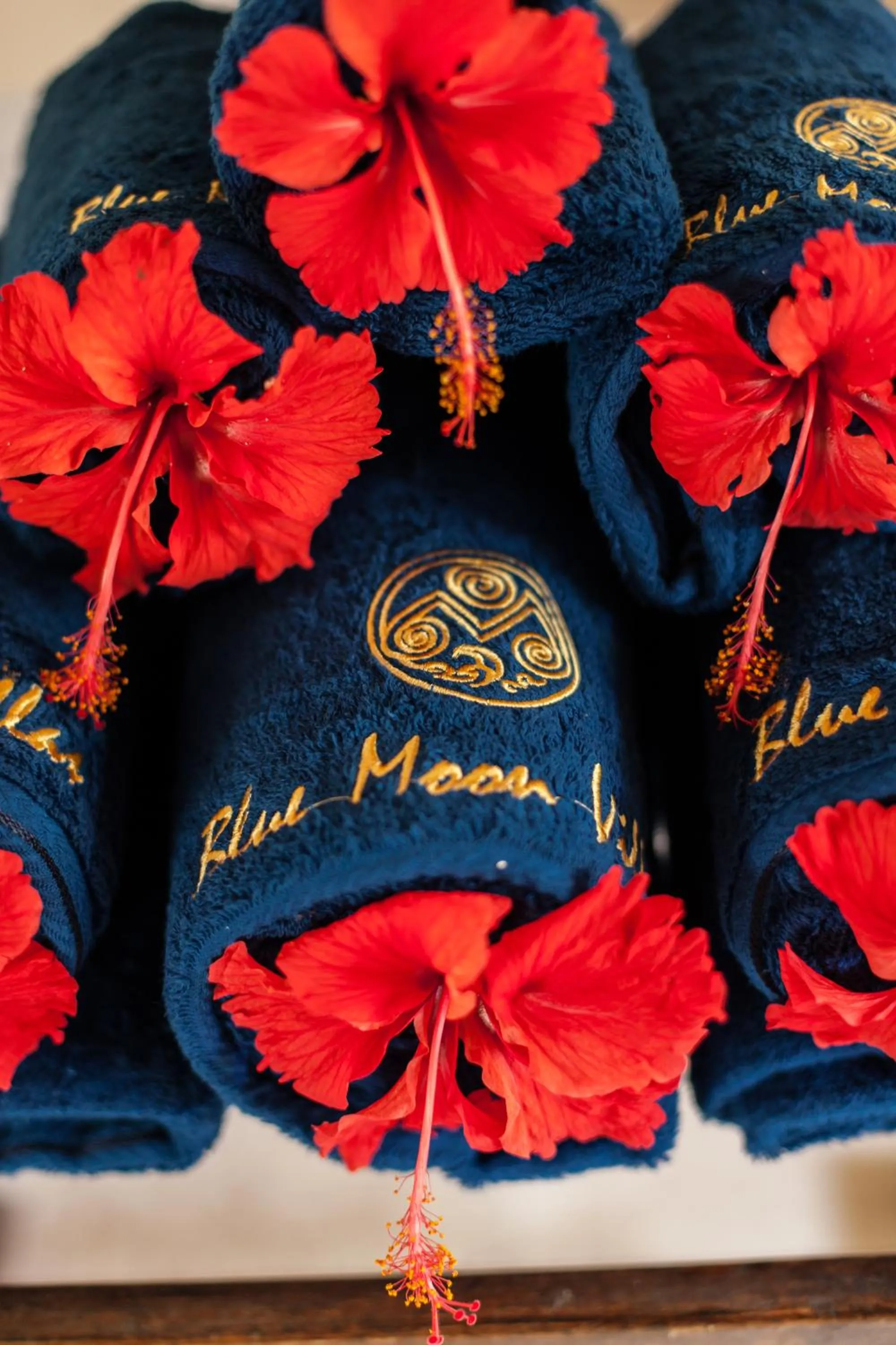 Property logo or sign in Blue Moon Villas Resort