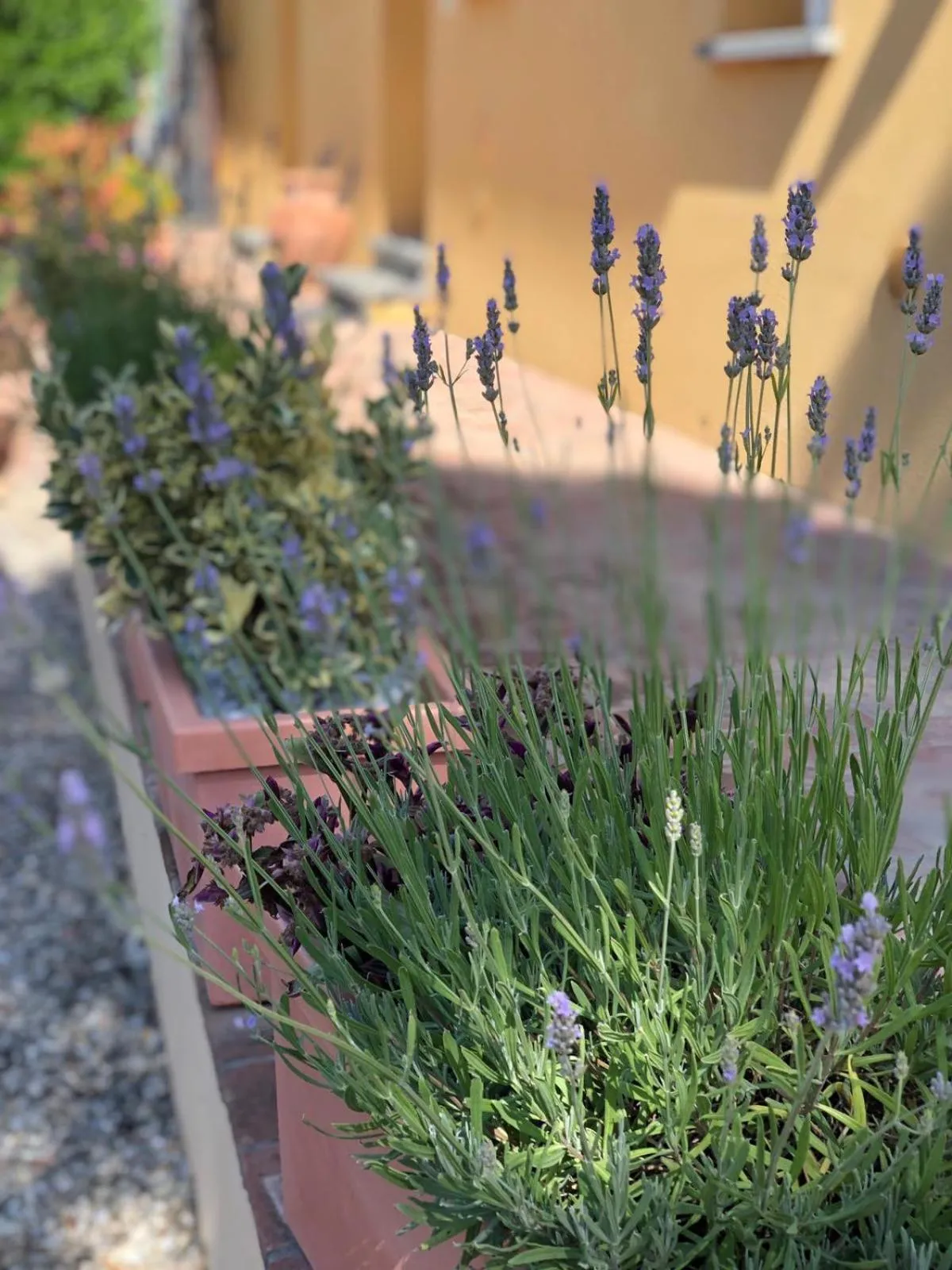 Property building in B&B Alloro