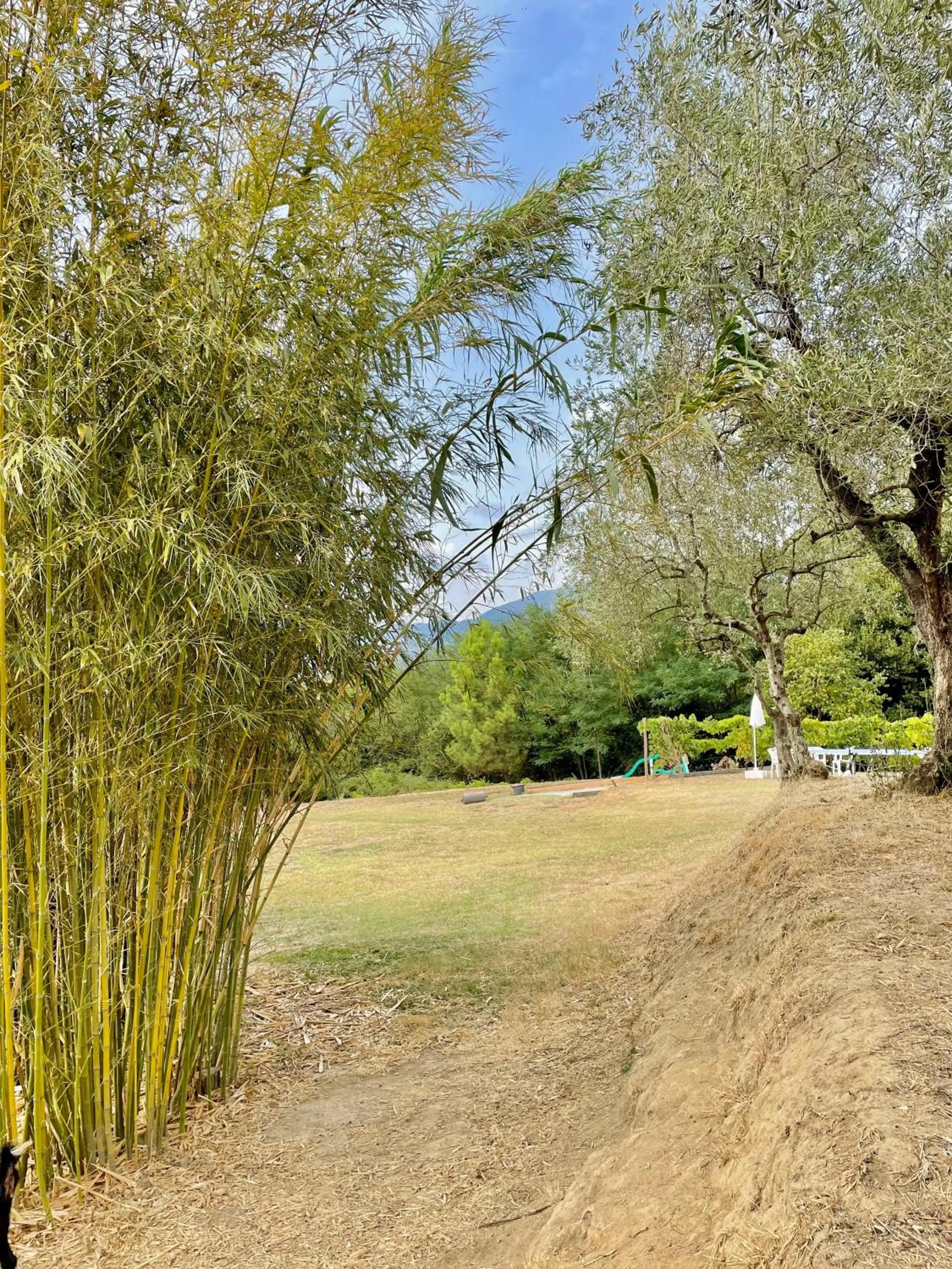 Garden in B&B Alloro