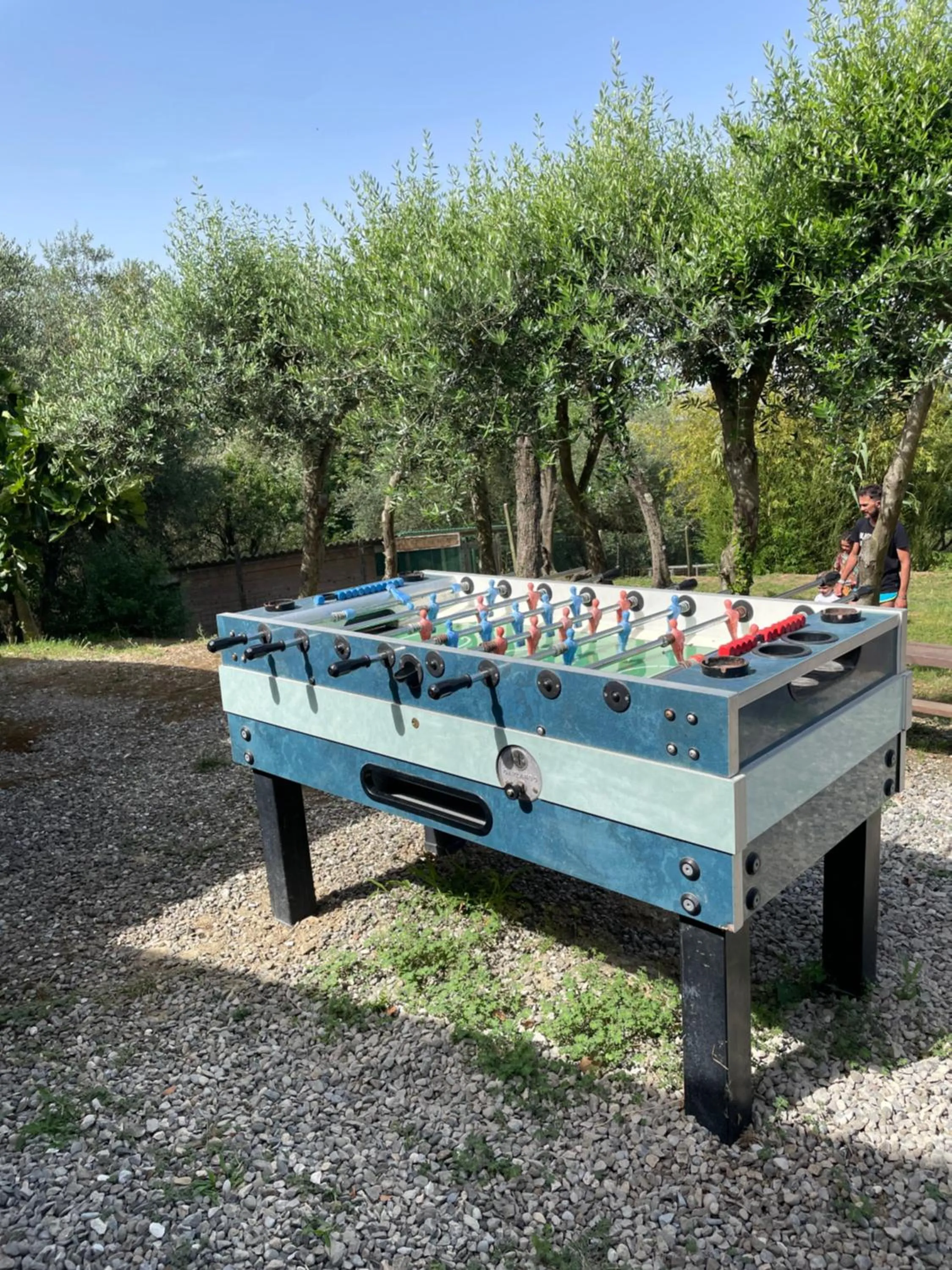 Activities in B&B Alloro
