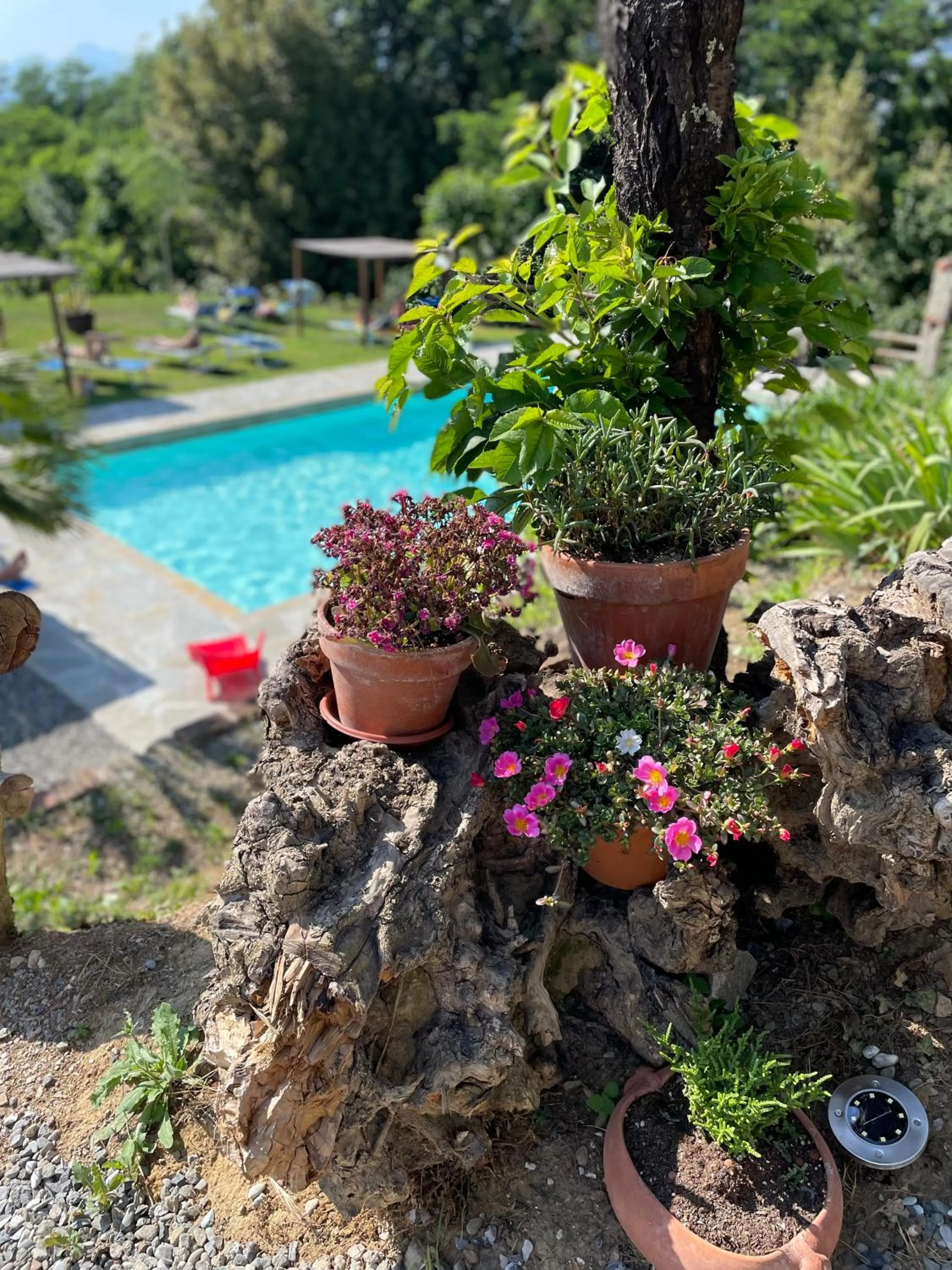 Property building in B&B Alloro