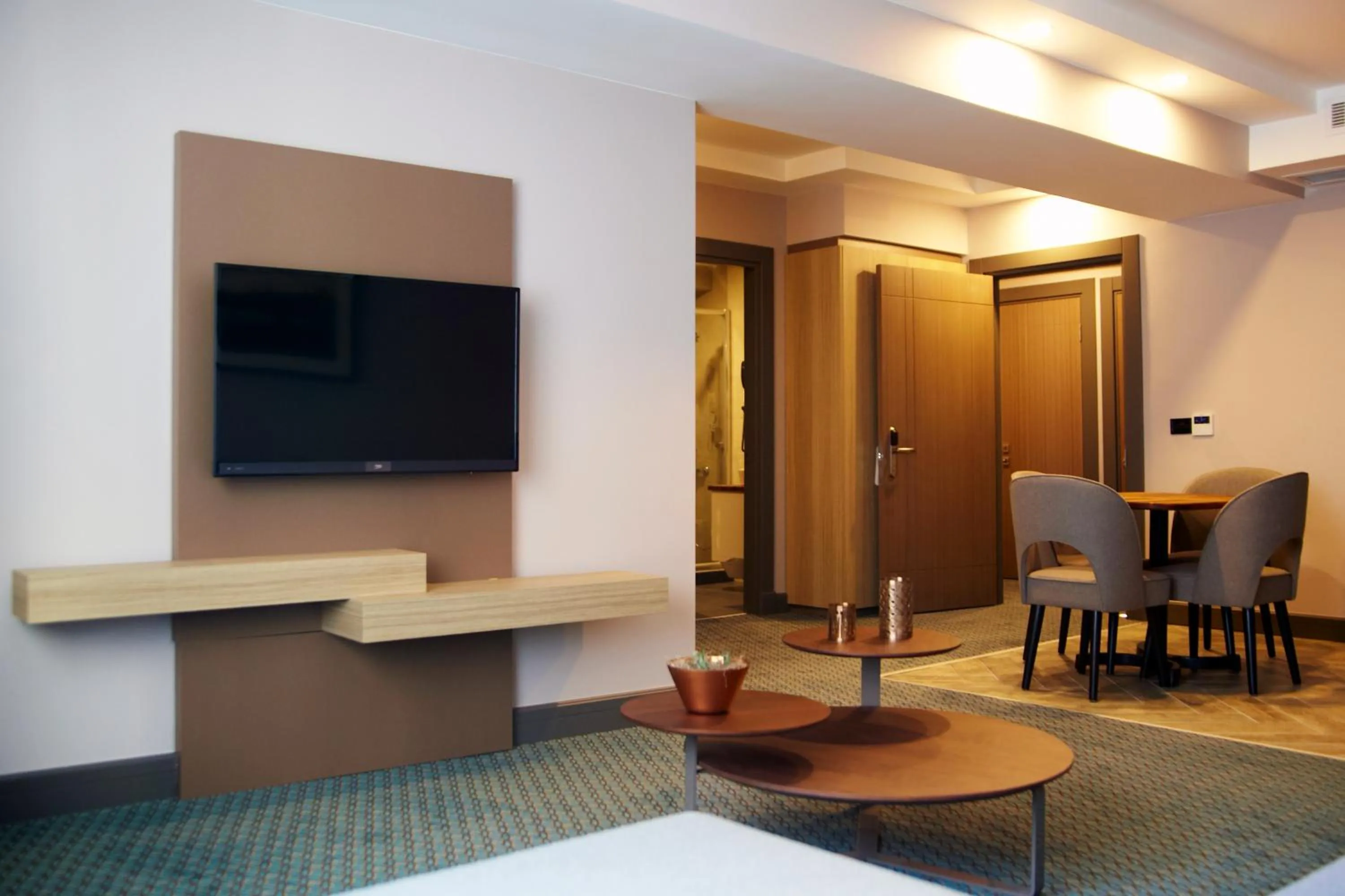 TV and multimedia in Tophane Suites
