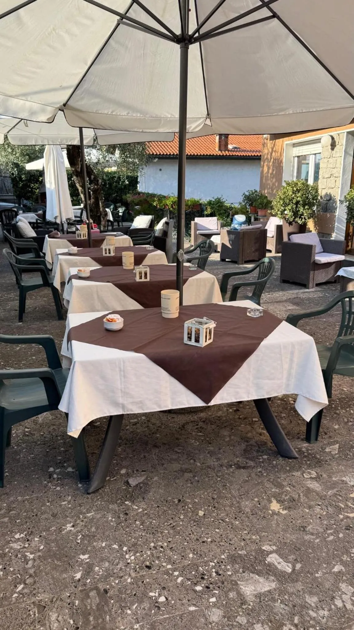 Garden in Hotel Bellavista Meublè