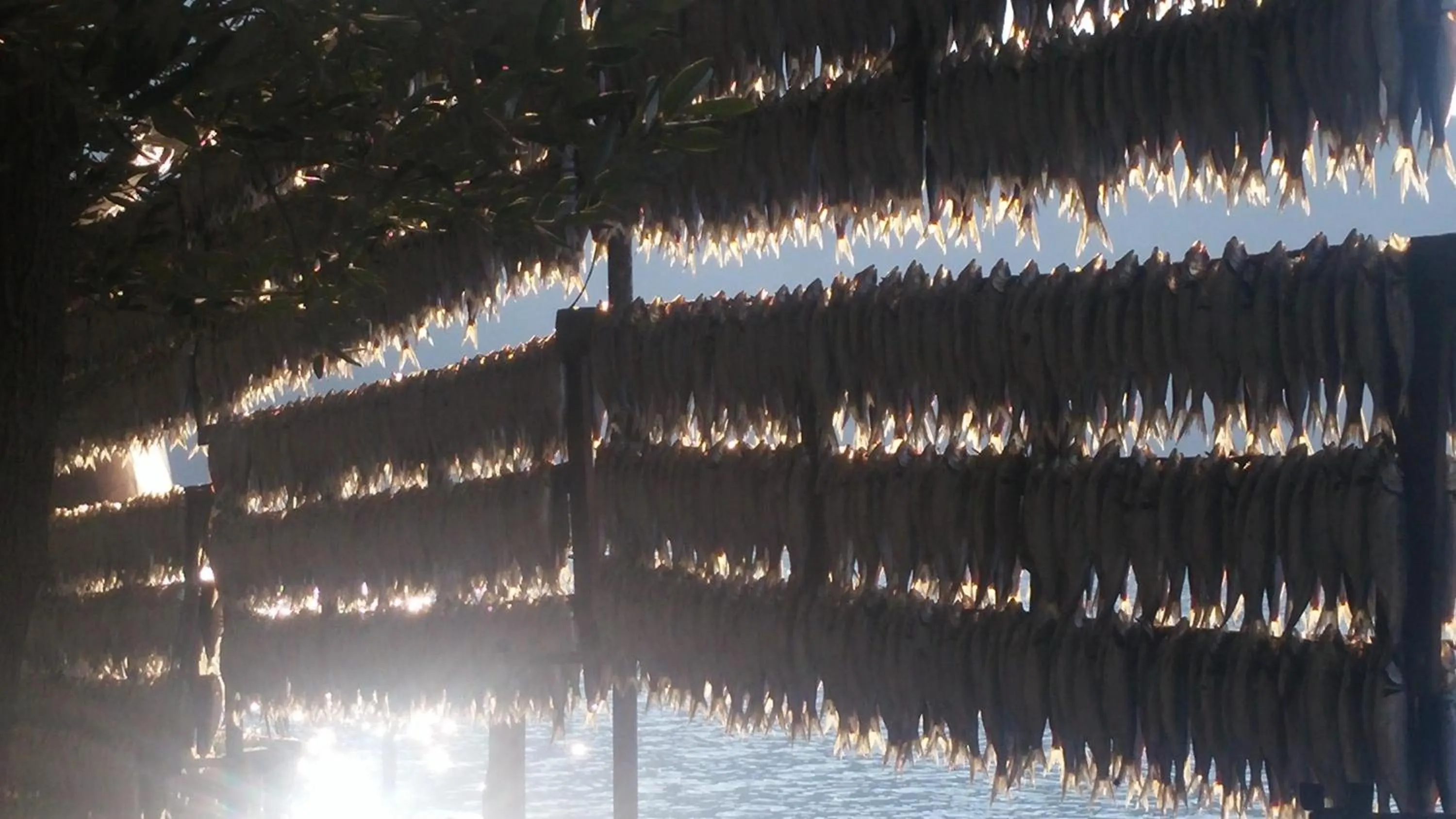 Off site in Hotel Bellavista Meublè