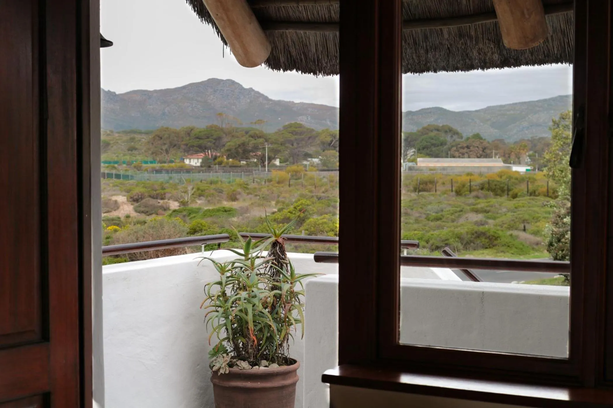 The House of Braganza