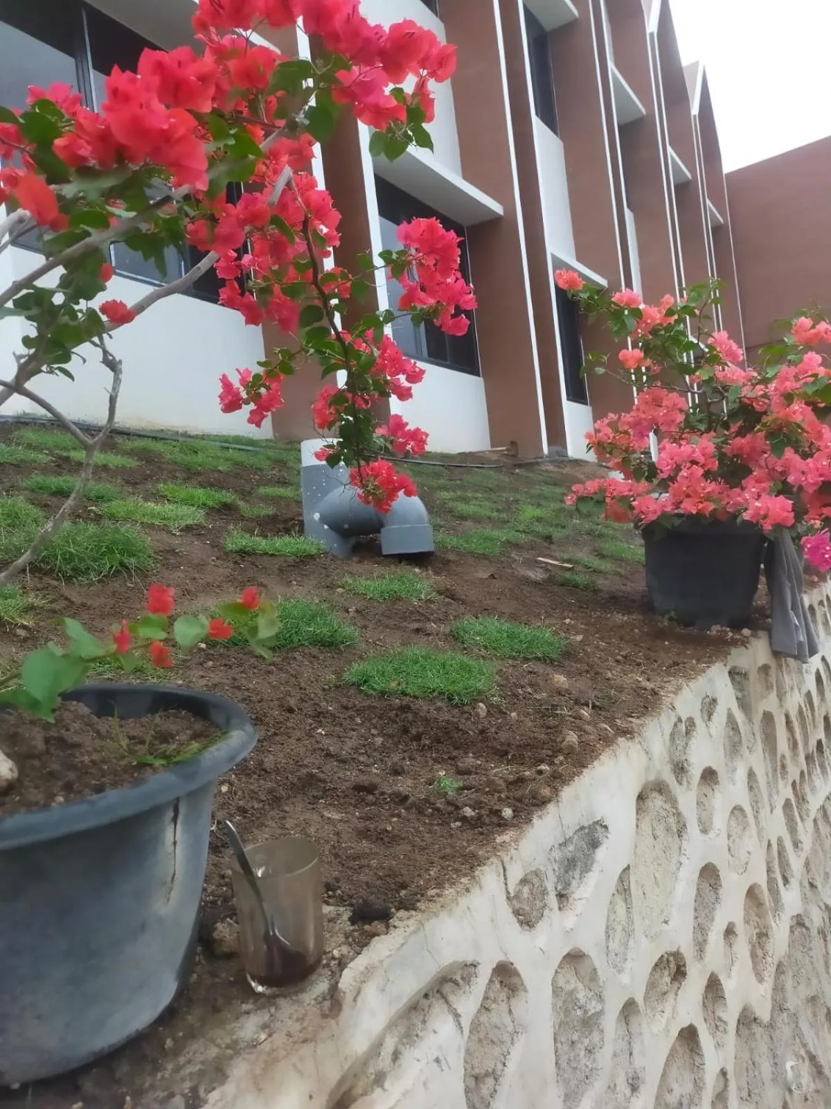 Freddies Santai Sumurtiga