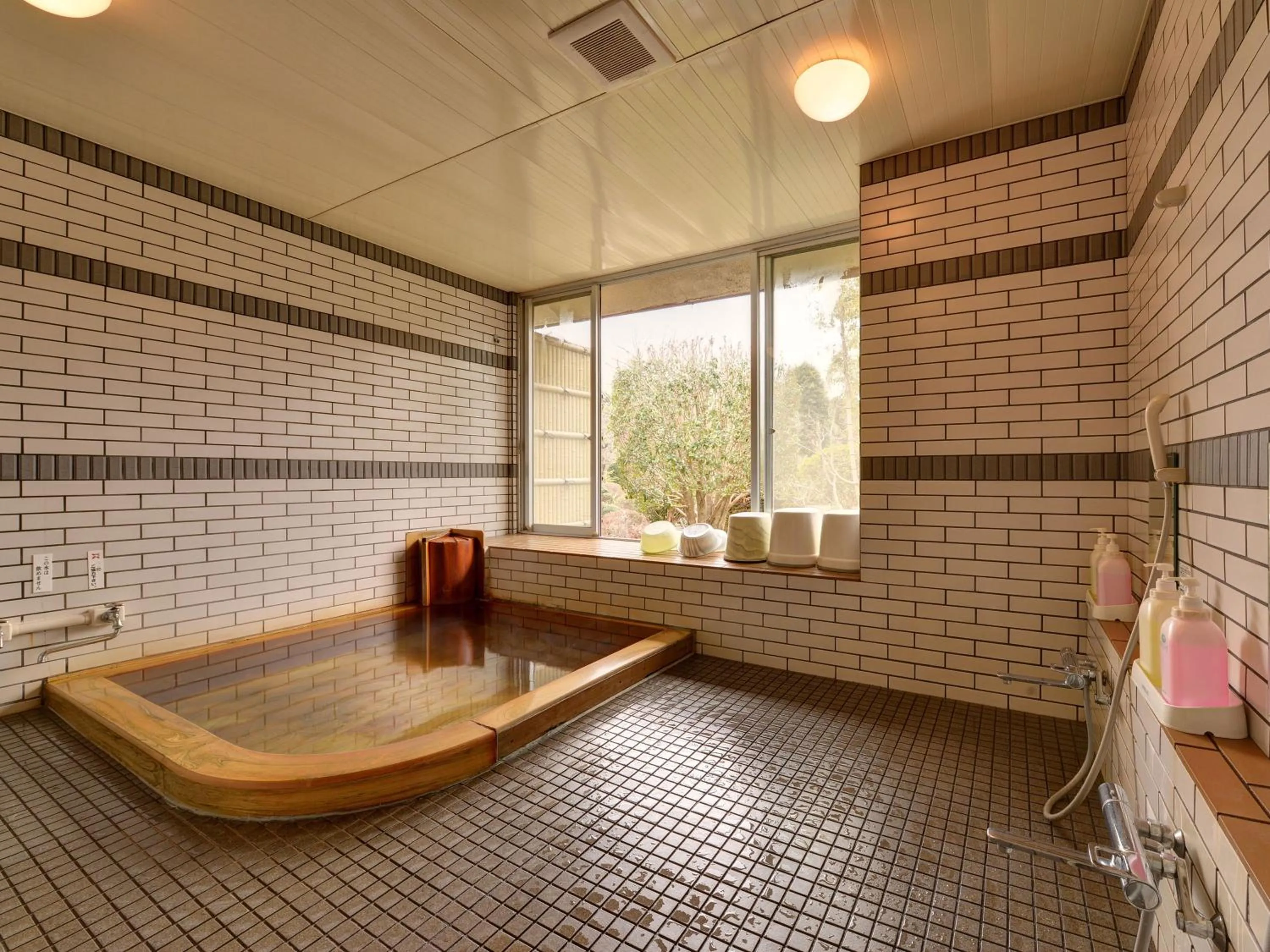 Hot Spring Bath in Yusenso