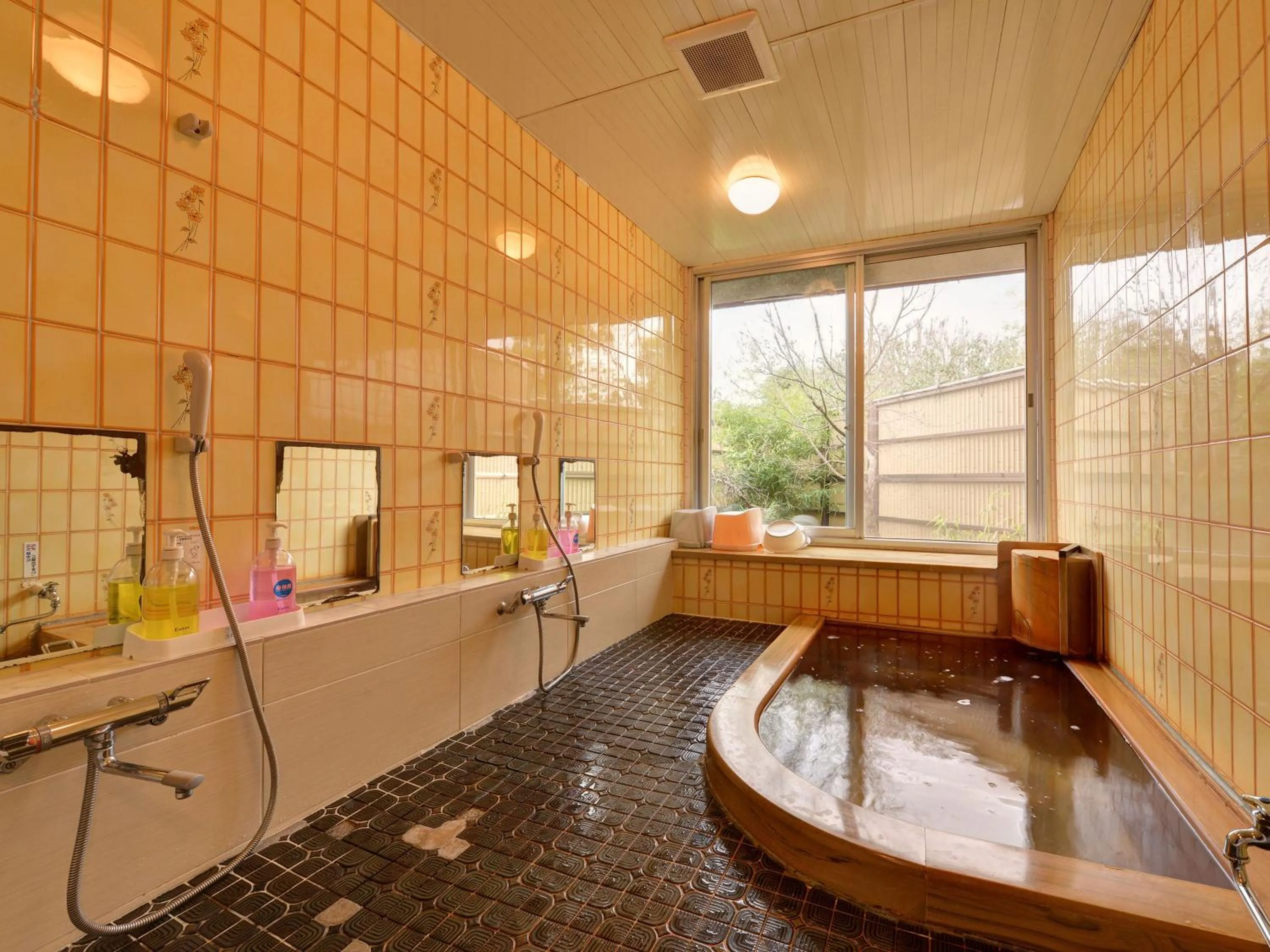 Hot Spring Bath in Yusenso