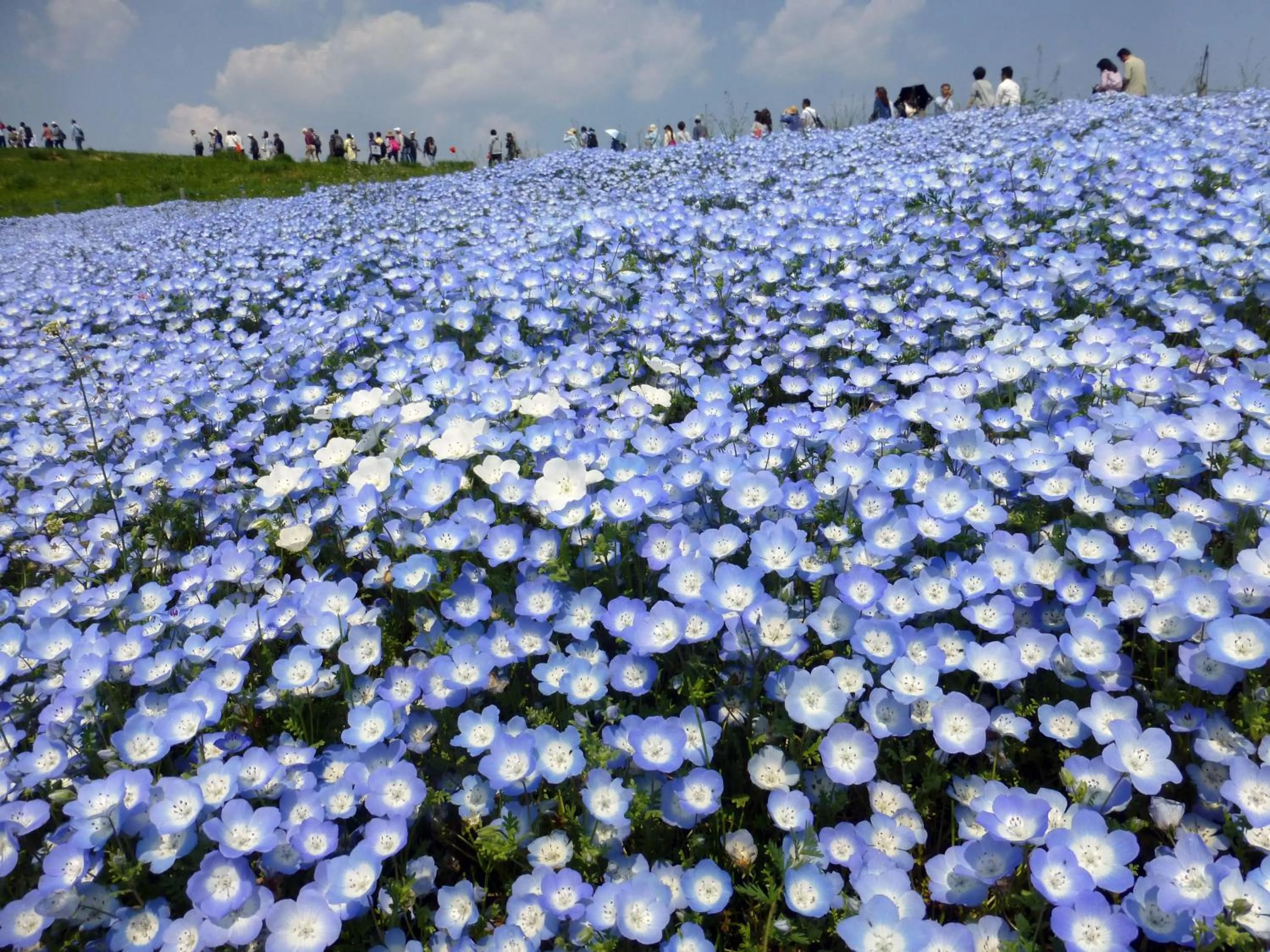 Nearby landmark in Yusenso