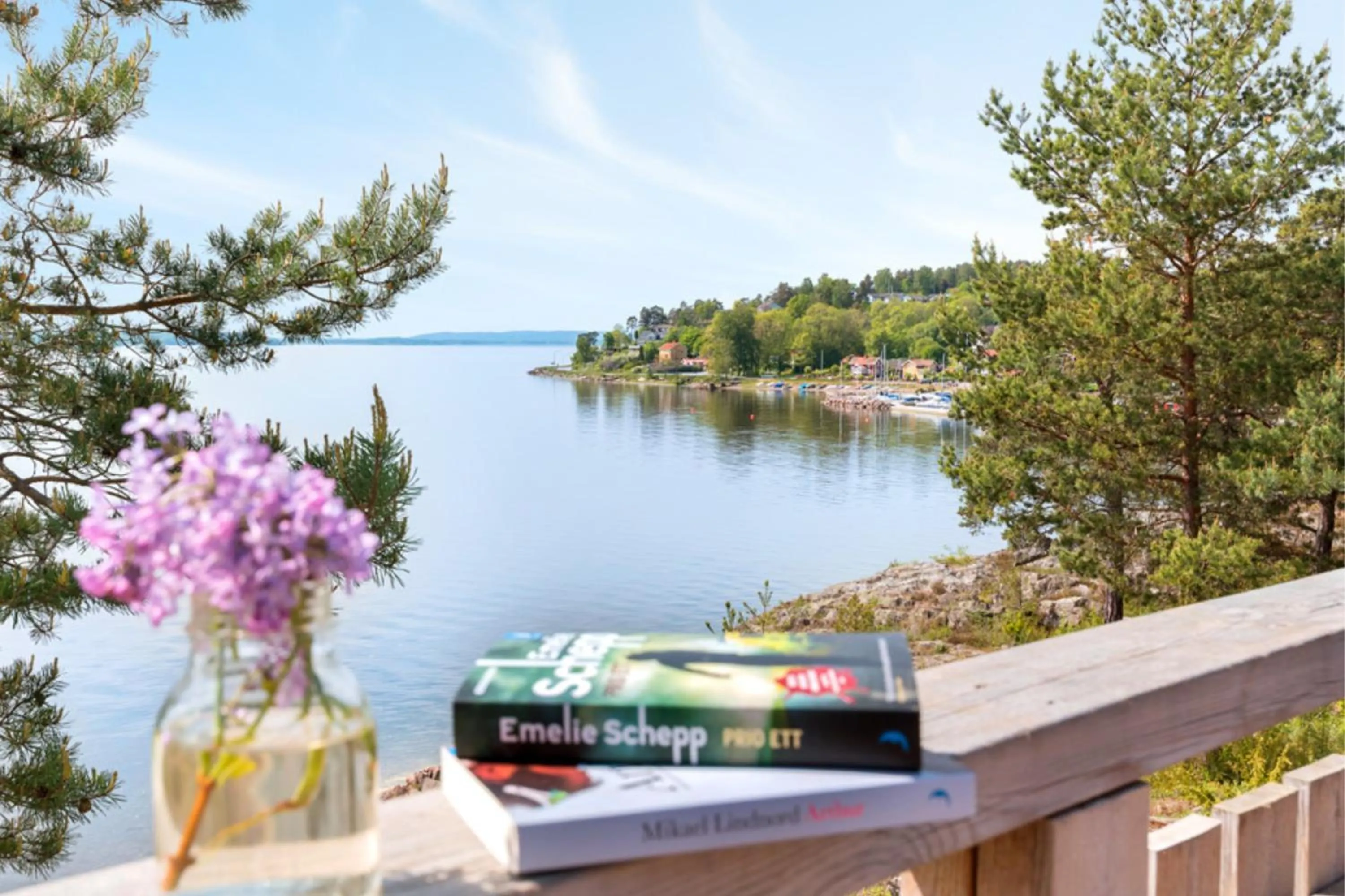 View (from property/room) in First Camp Kolmården-Norrköping