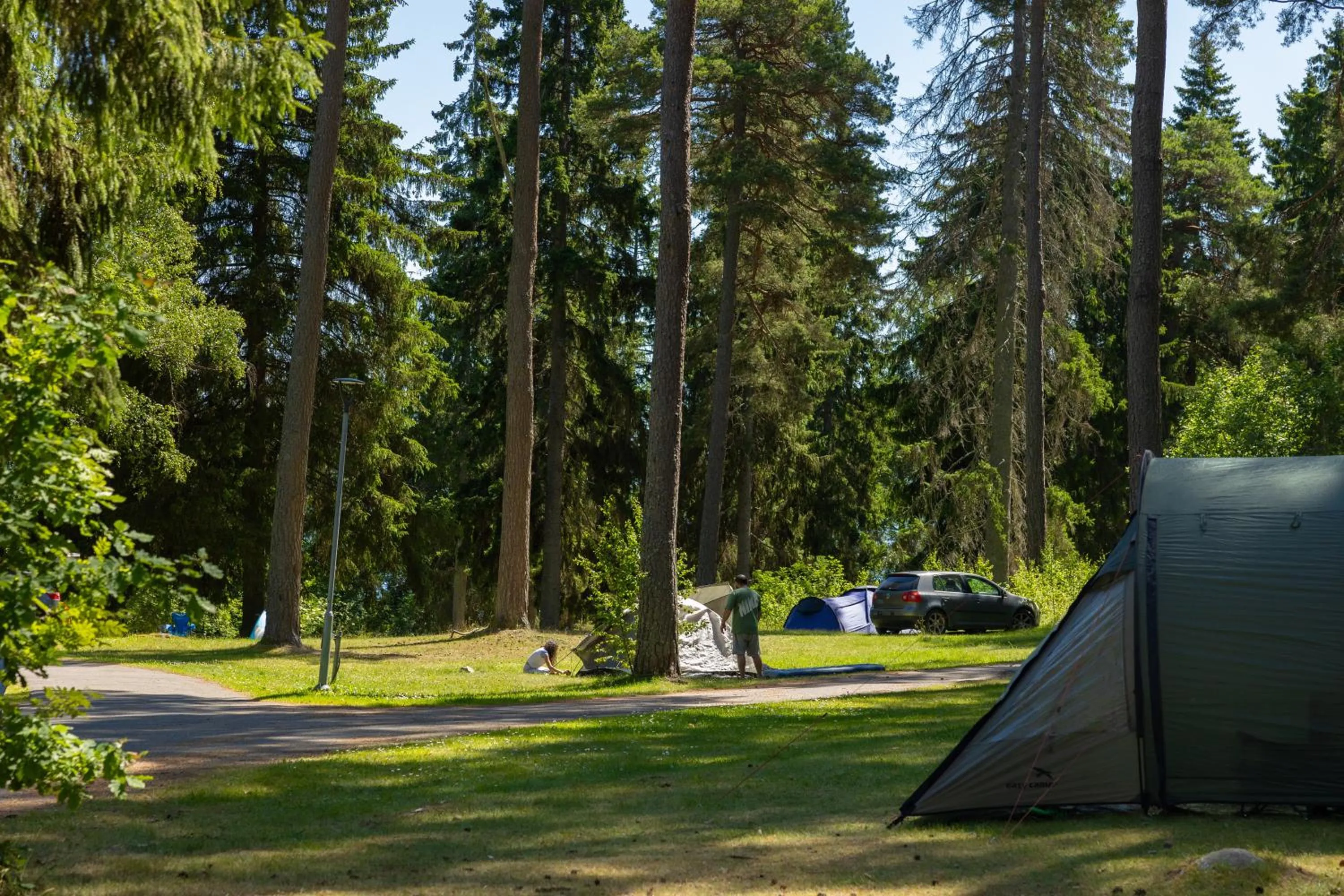 Natural landscape in First Camp Kolmården-Norrköping