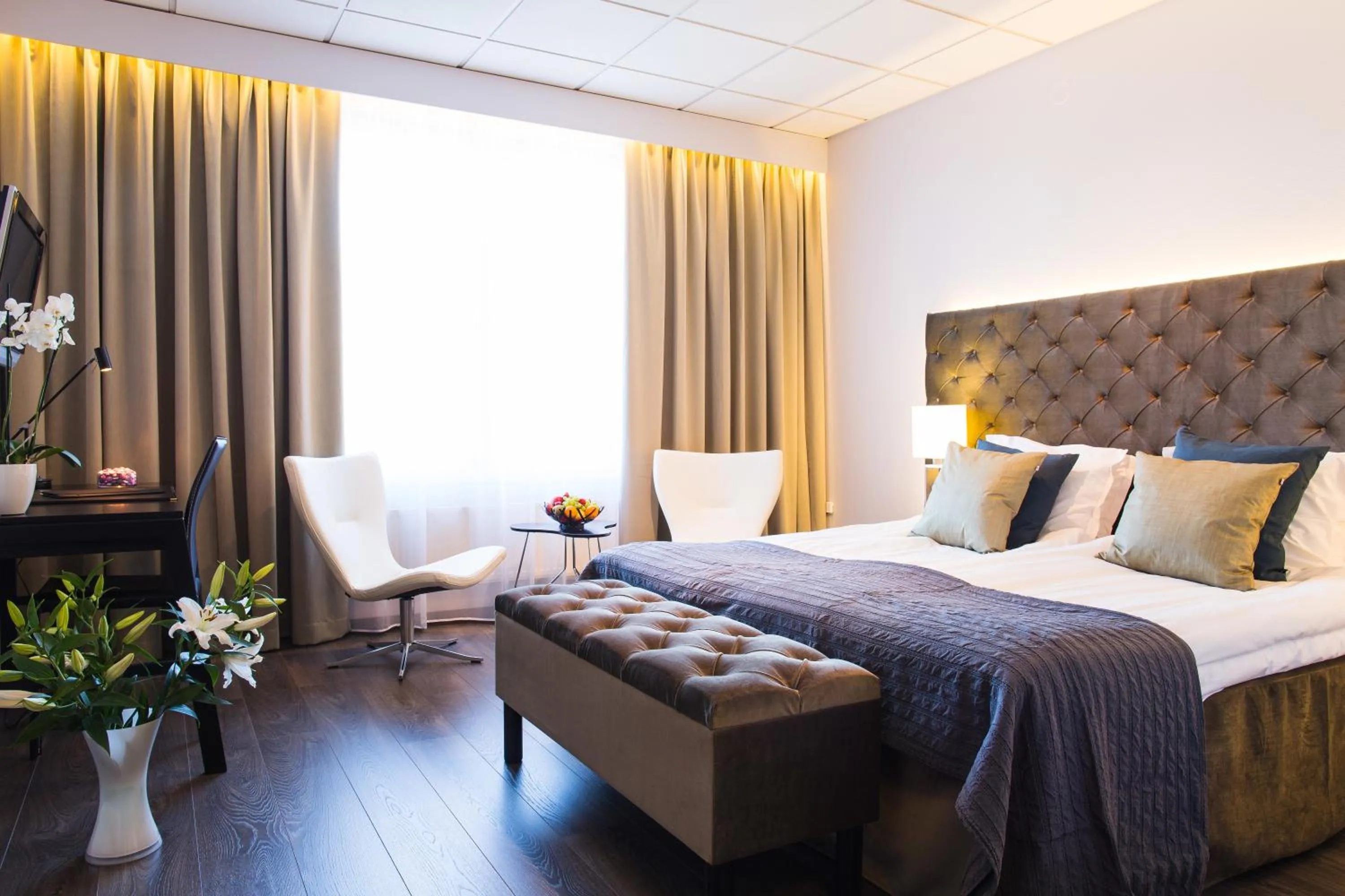 Day in Nova Park Conference