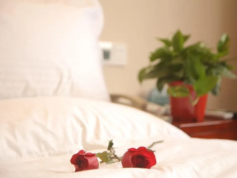 Bed in GreenTree Inn HeNan ShangQiu Normal College WenhuaWestRoad Business Hotel