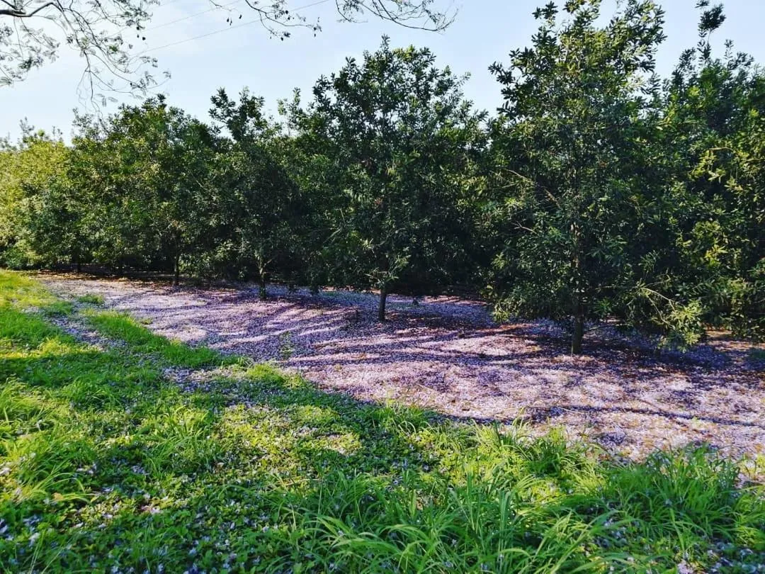 Facade/entrance in Idle & Wild Chalet