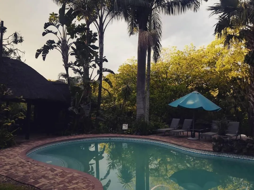 Pool view in Idle & Wild Chalet