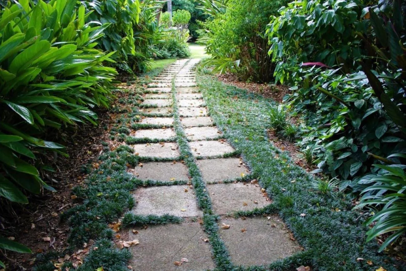 Garden in Idle & Wild Chalet