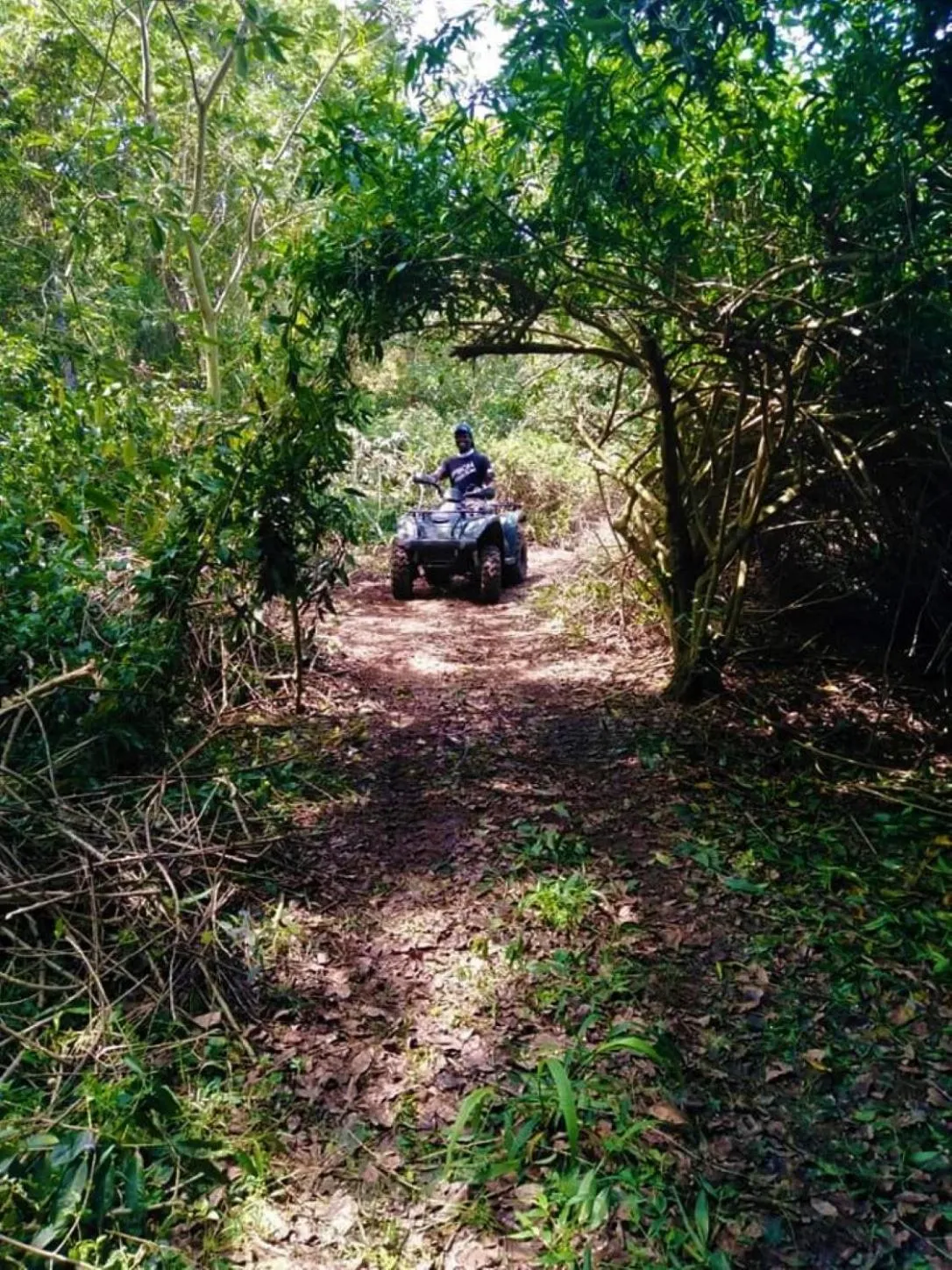 Activities in Idle & Wild Chalet