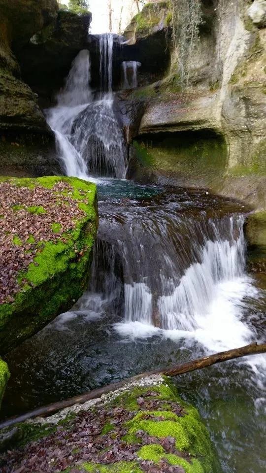 Nearby landmark in VALRELEY, chambres et table d'hôtes eco-friendly avec bain nordique au sud du massif du Jura
