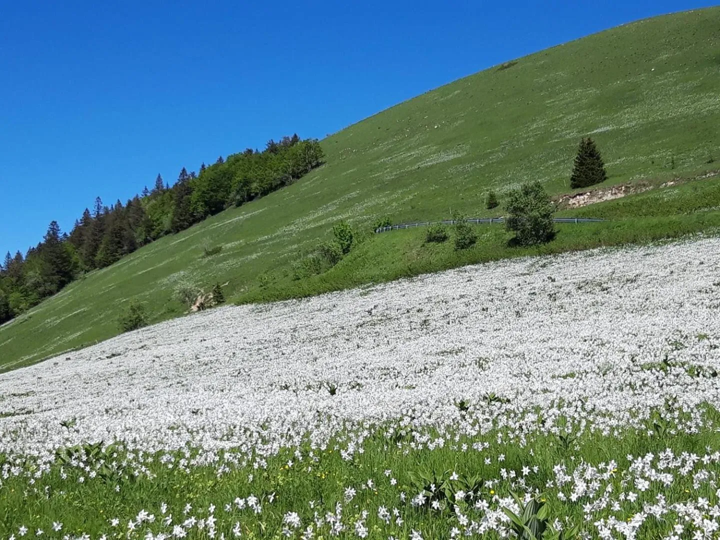 Hiking in VALRELEY, chambres et table d'hôtes eco-friendly avec bain nordique au sud du massif du Jura