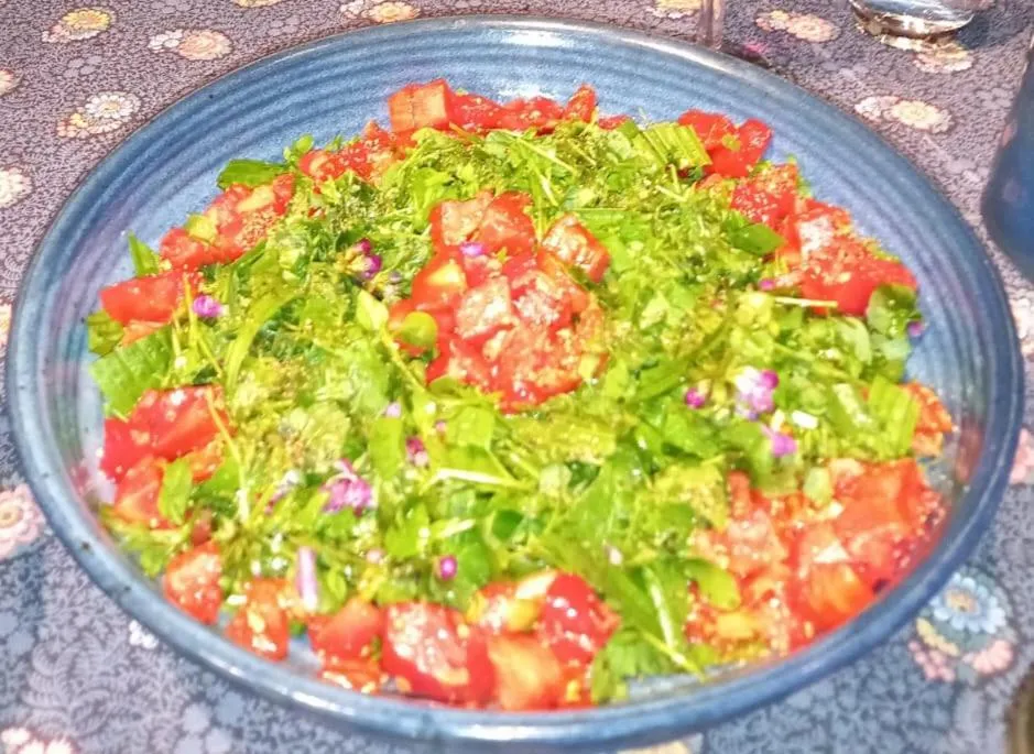 VALRELEY, chambres et table d'hôtes eco-friendly avec bain nordique au sud du massif du Jura