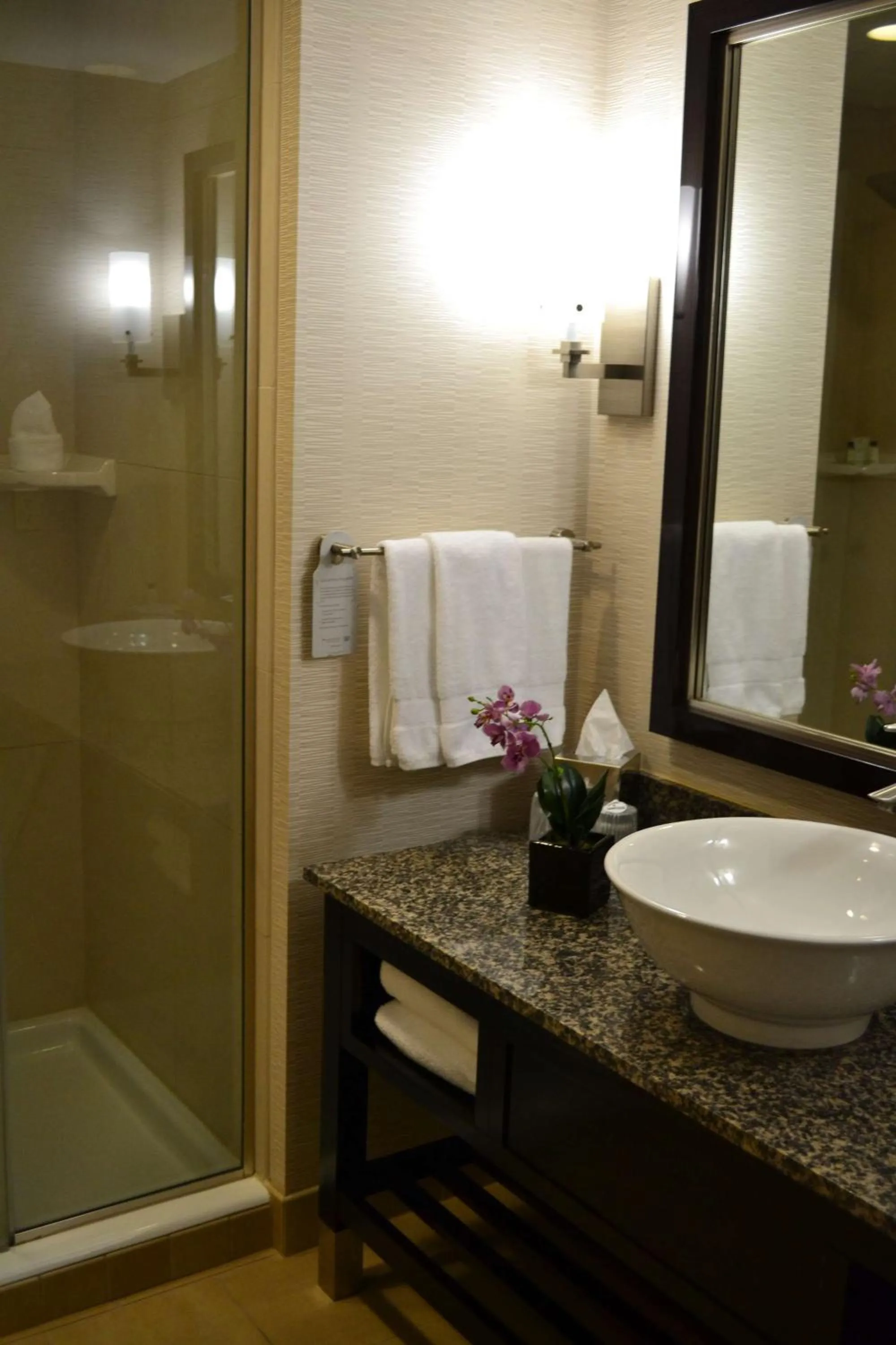 Bathroom in Embassy Suites Palmdale