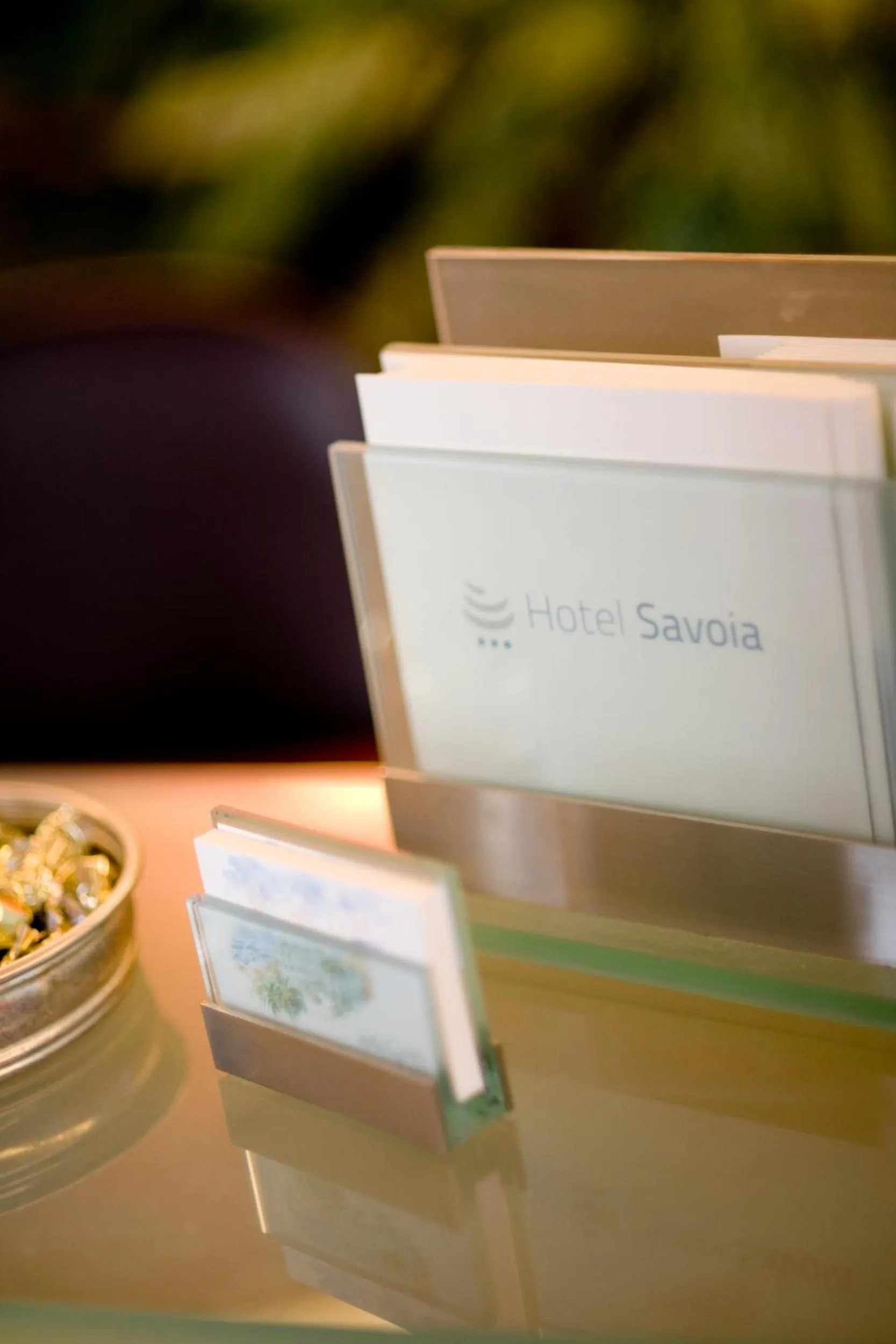 Logo/Certificate/Sign in Hotel Savoia