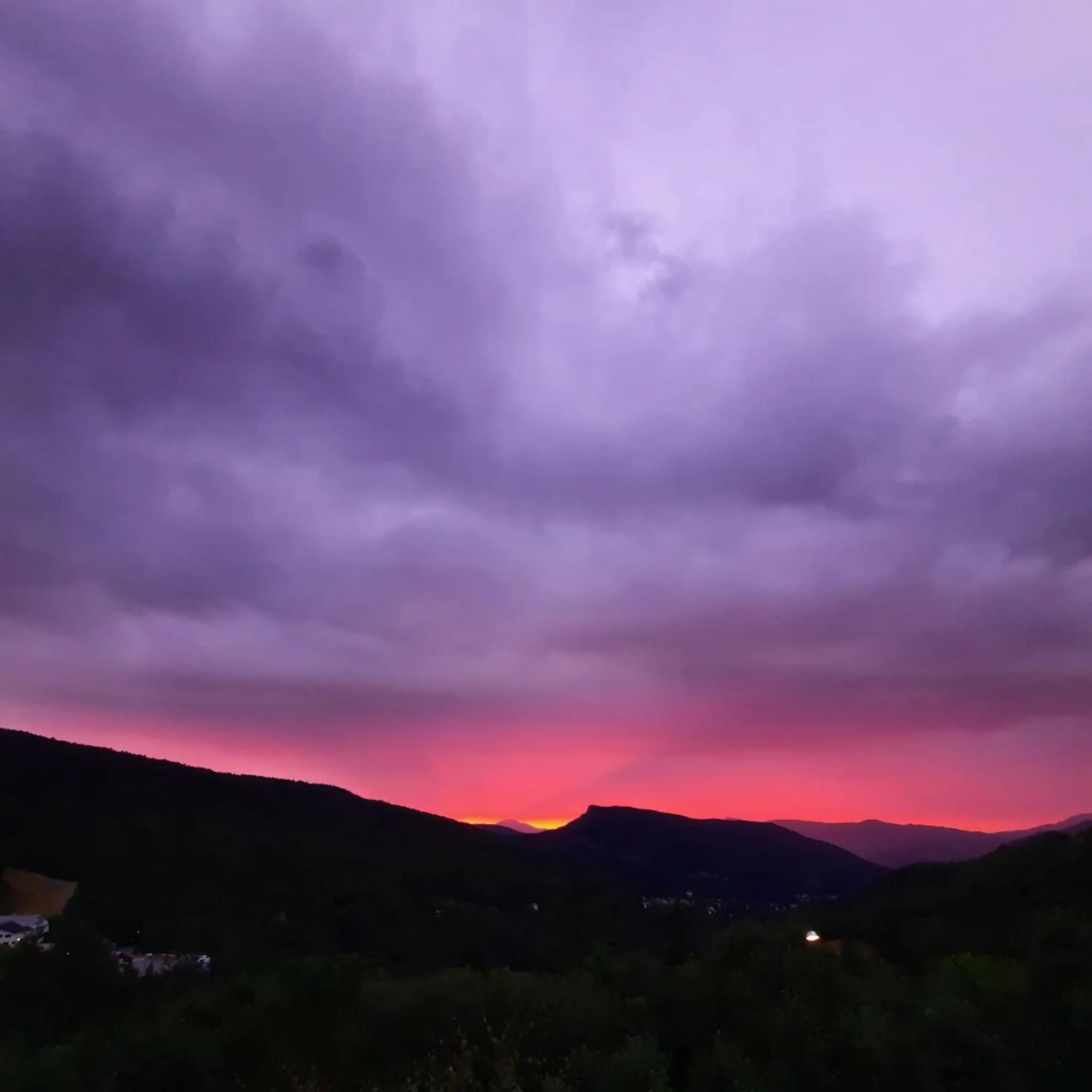 Natural landscape in Hotel Bellavista