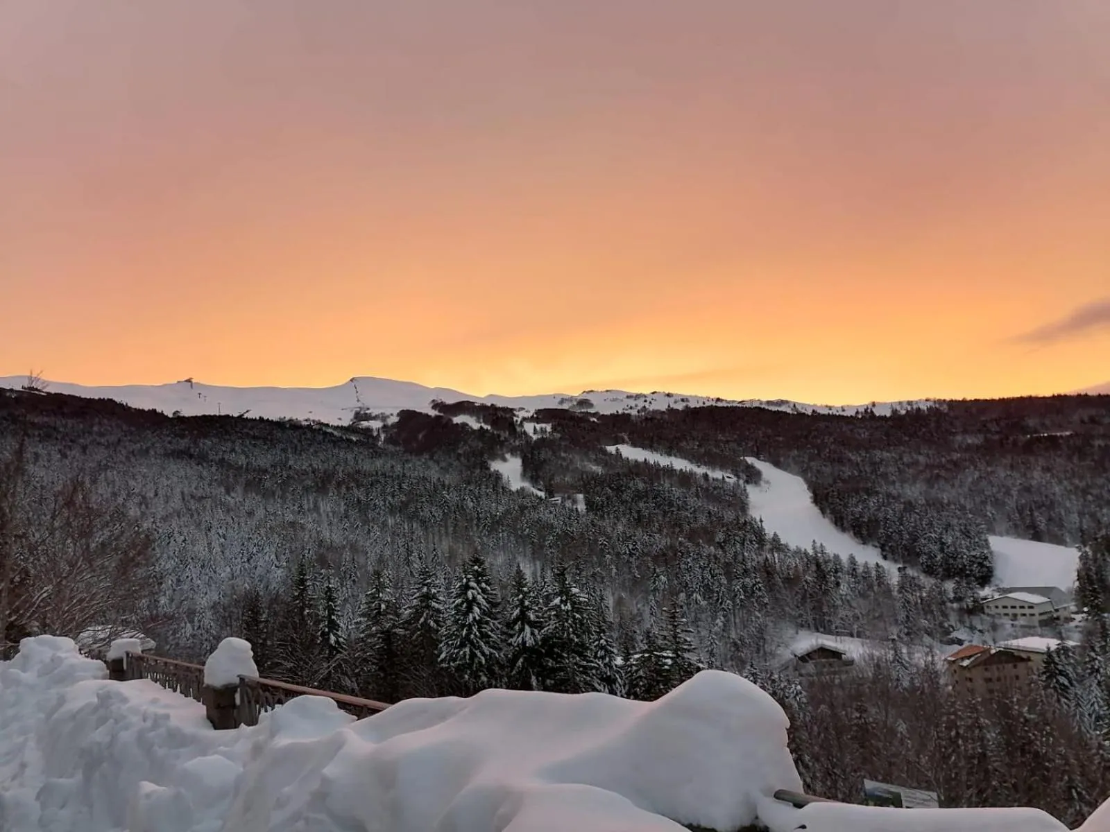 Balcony/Terrace in Hotel Bellavista