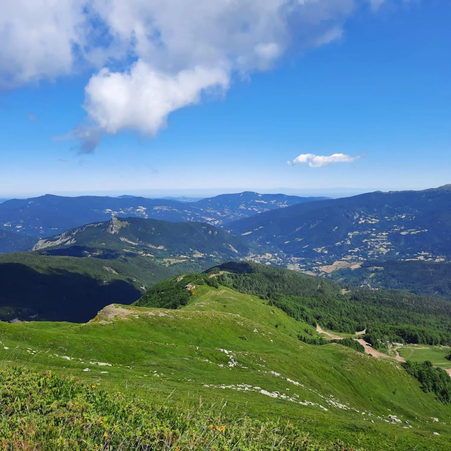 Summer in Hotel Bellavista