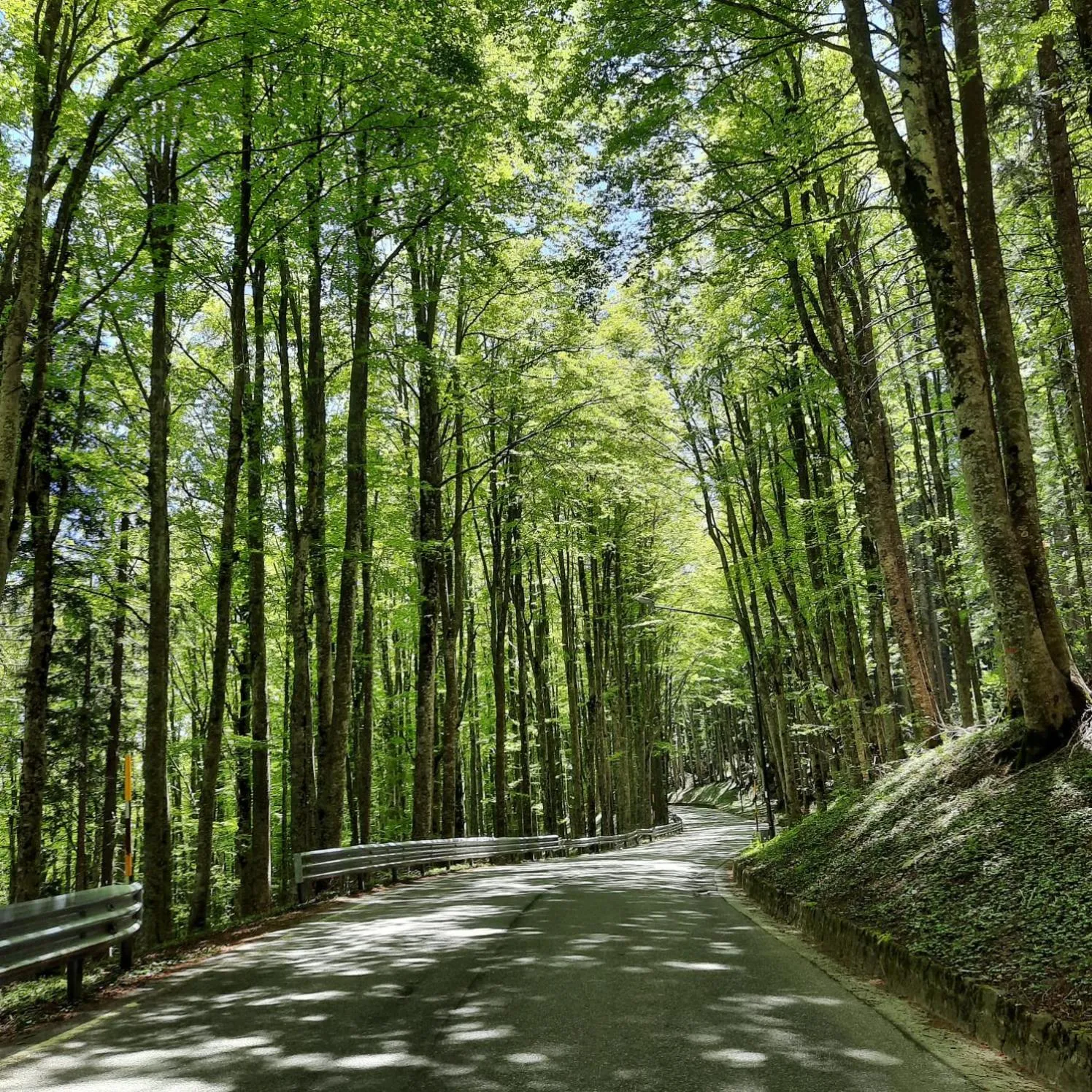 Summer in Hotel Bellavista