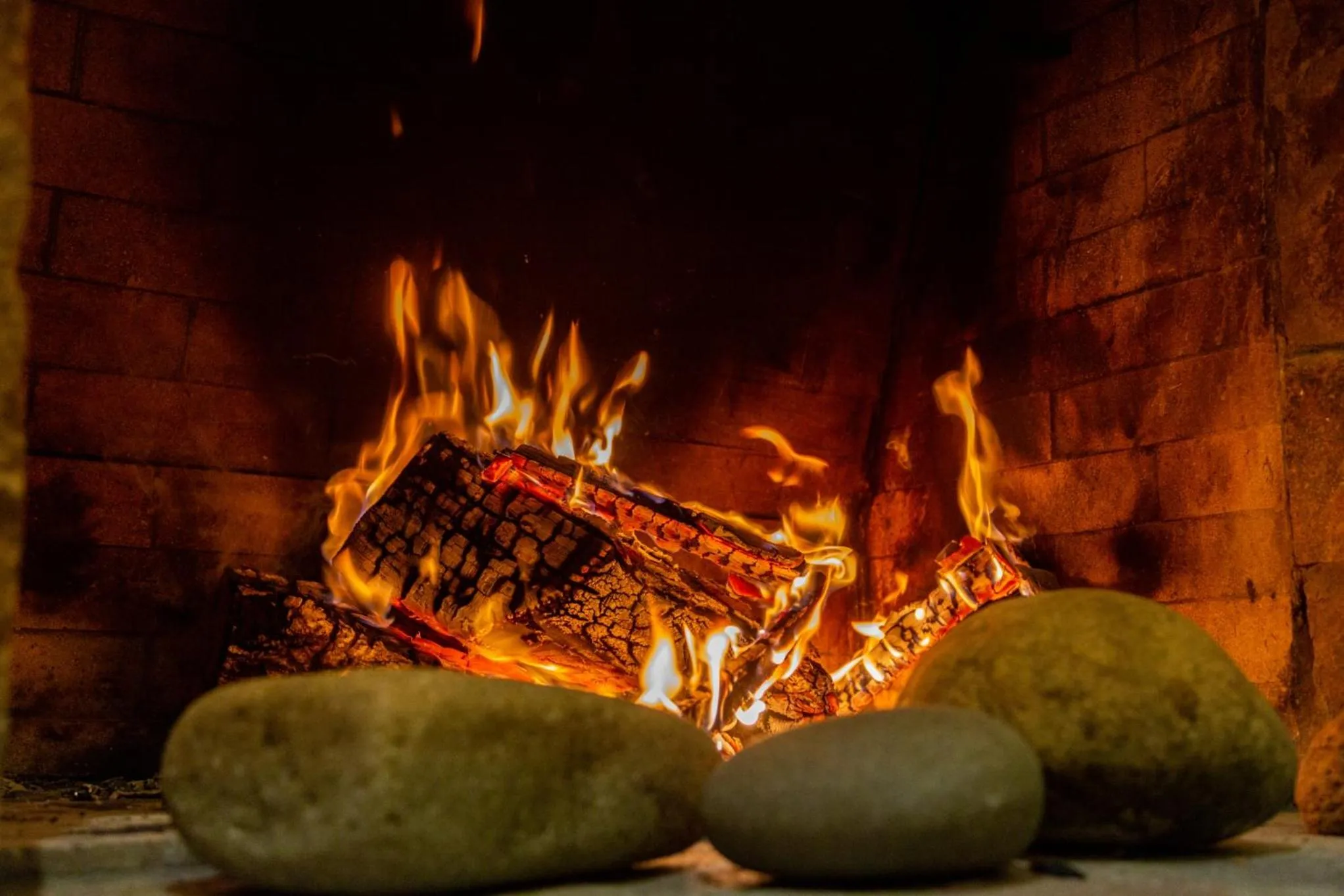 Terraza Coirones Hotel