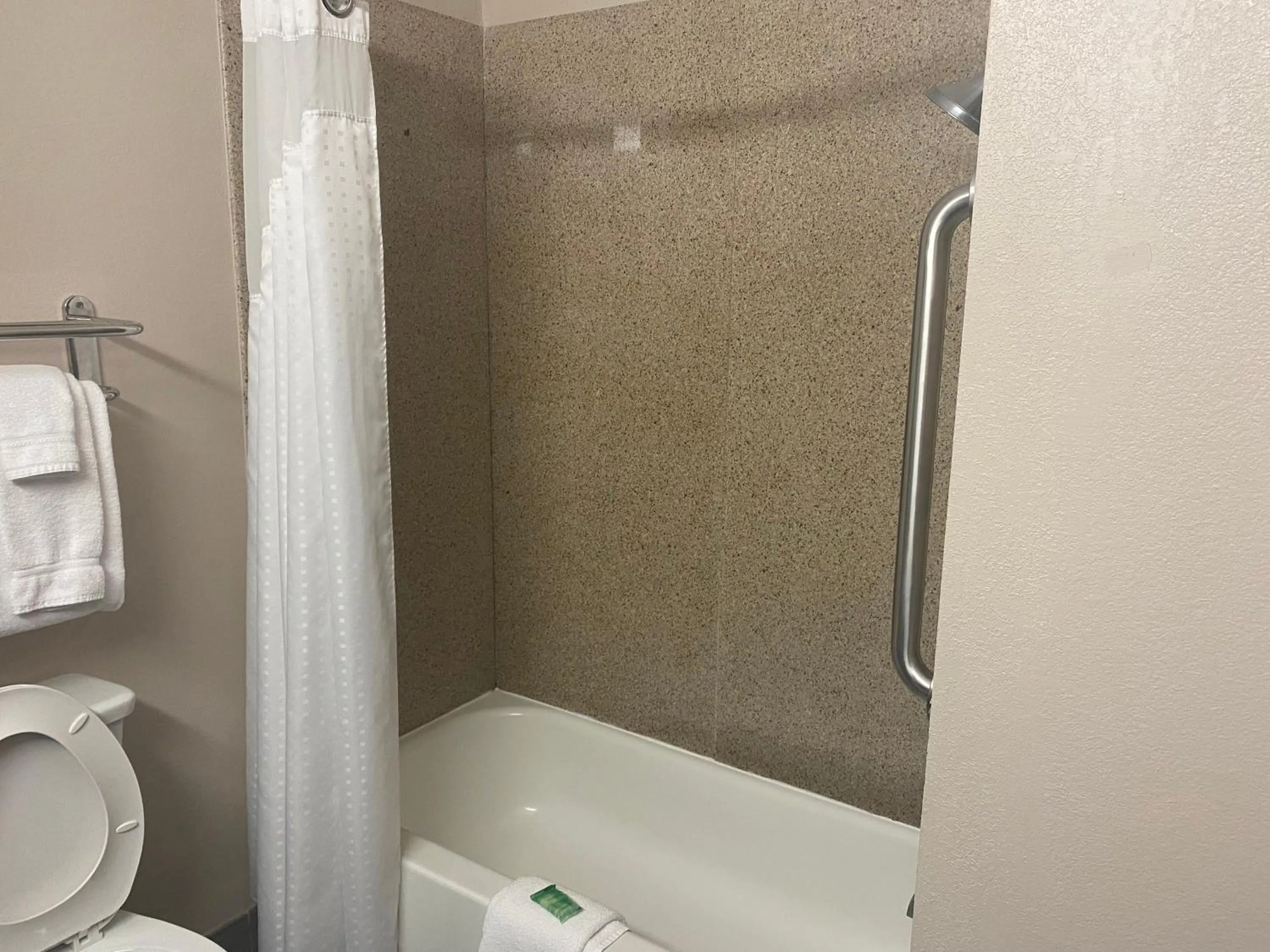 Bathroom in Holiday Inn Express Hotel and Suites Fort Stockton by IHG