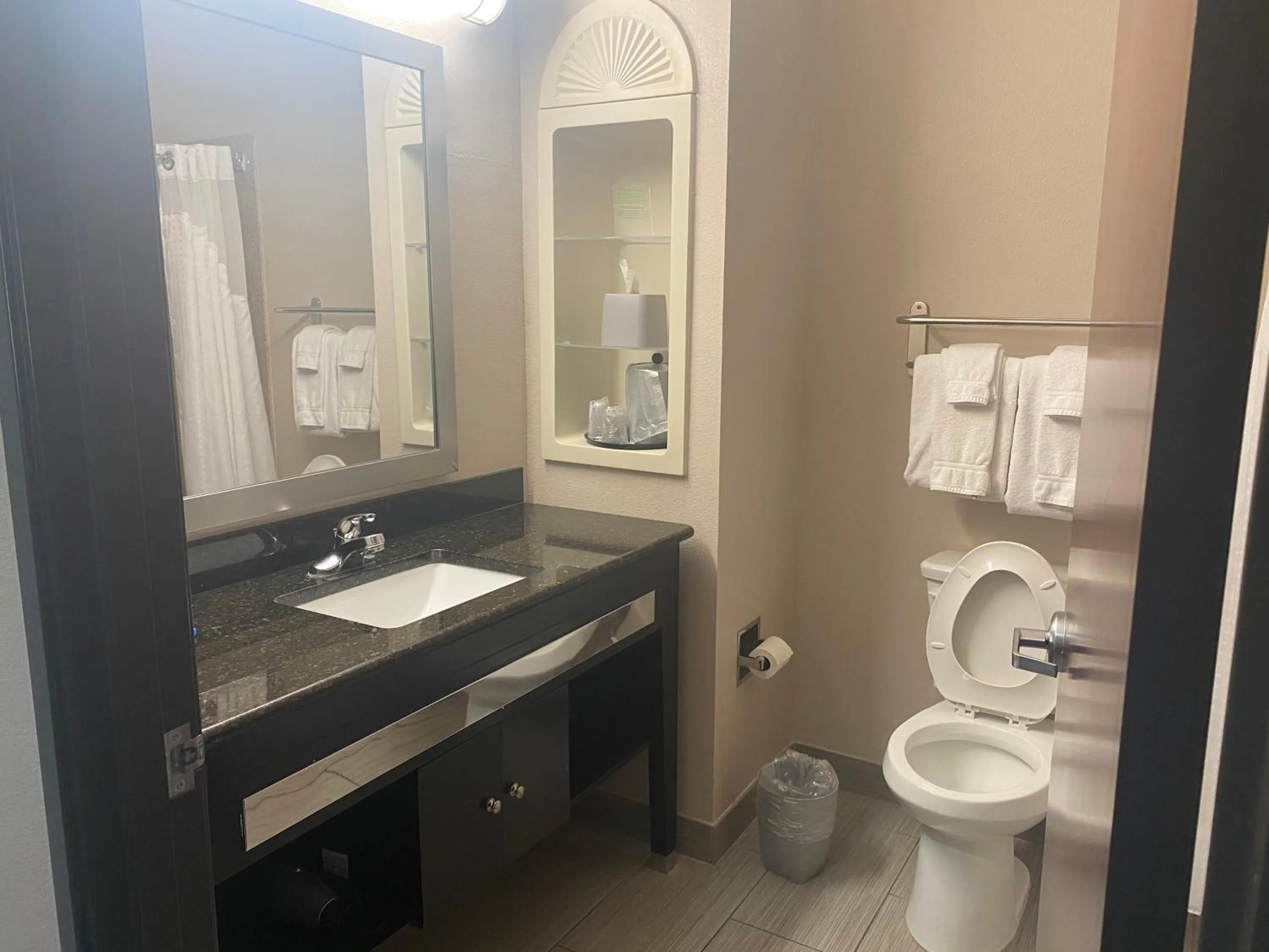 Bathroom in Holiday Inn Express Hotel and Suites Fort Stockton by IHG