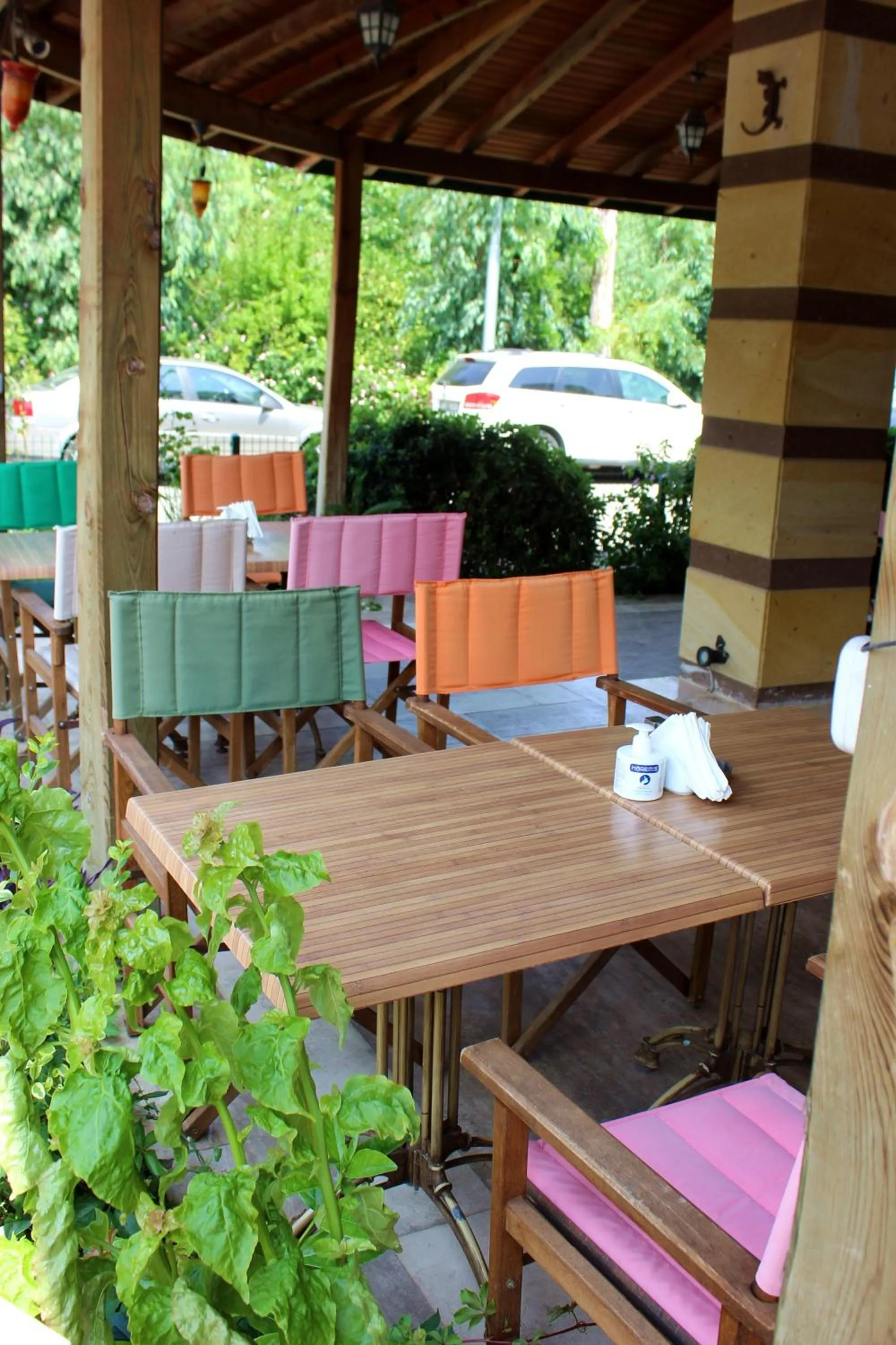 Restaurant/places to eat in Avlu Hotel